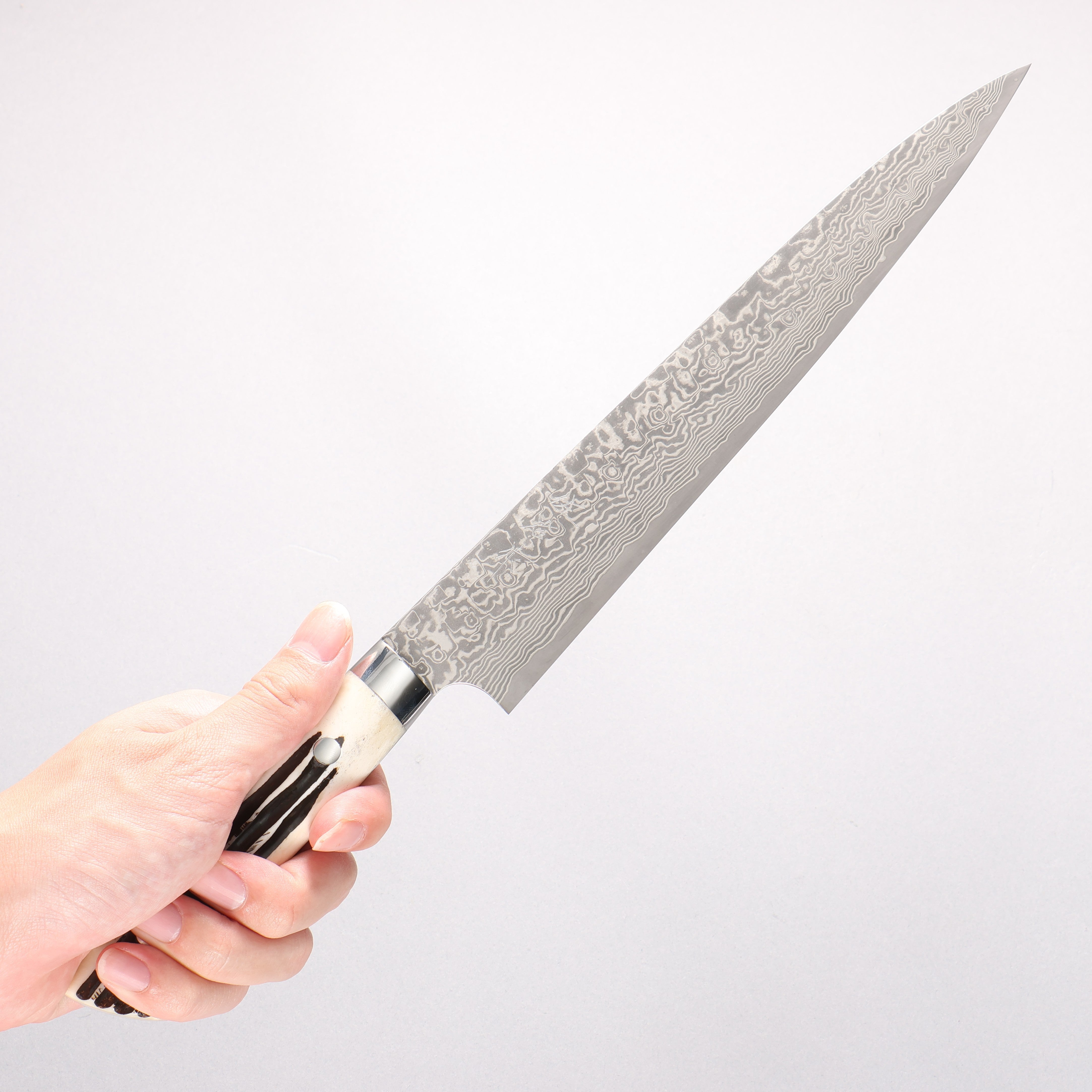 Takeshi Saji SG2 Black Damascus Sujihiki 240mm White Deer Horn Handle - Seisuke Knife
