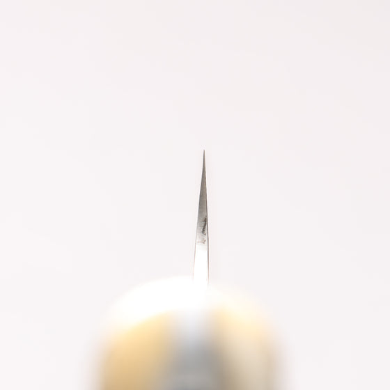 Takeshi Saji SG2 Black Damascus Sujihiki 240mm White Deer Horn Handle - Seisuke Knife