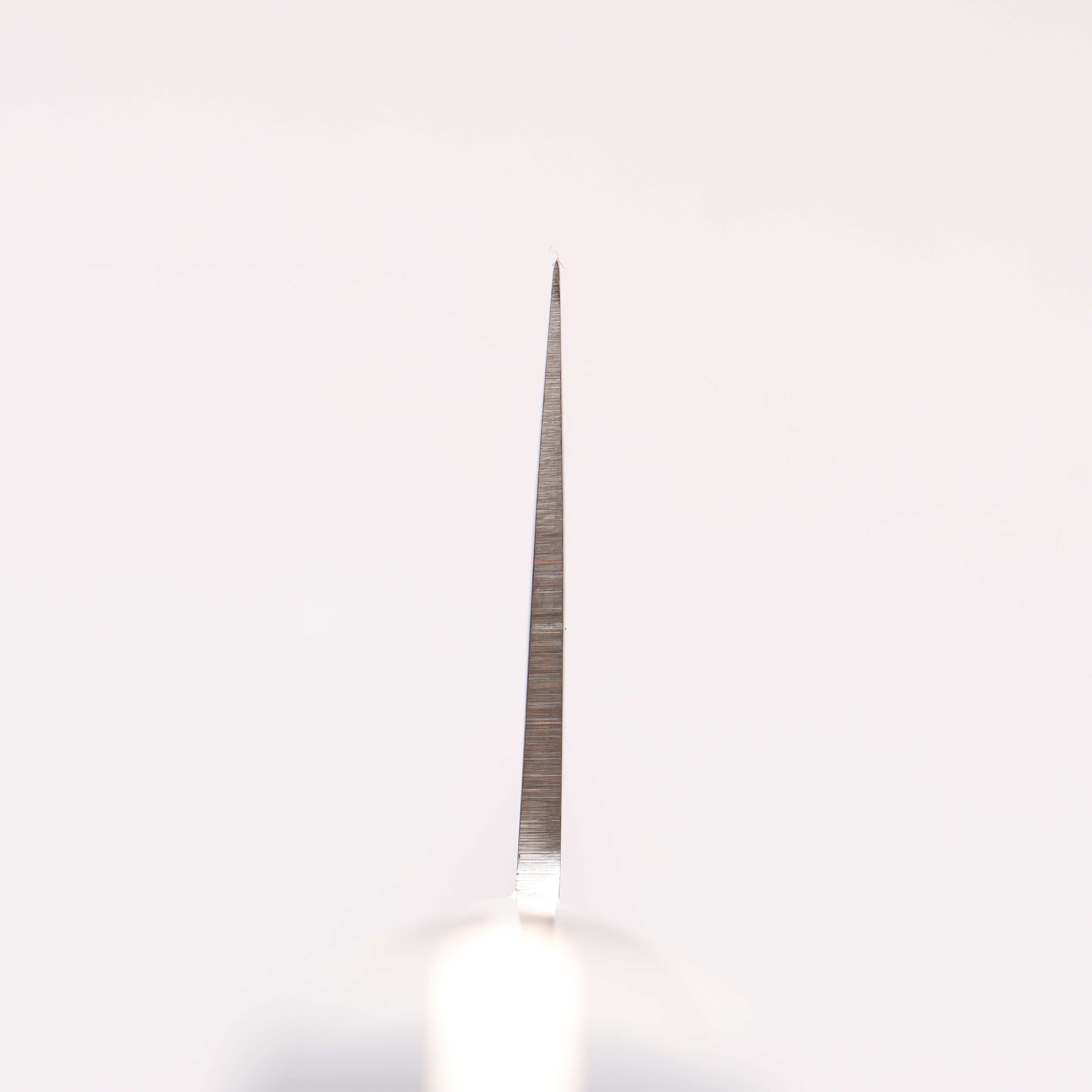 Tojiro Fujitora DP Cobalt Alloy Steel Gyuto 300mm - Seisuke Knife