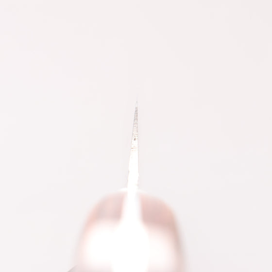 Jikko VG10 17 Layer Kiritsuke Yanagiba 300mm Mahogany Handle - Seisuke Knife