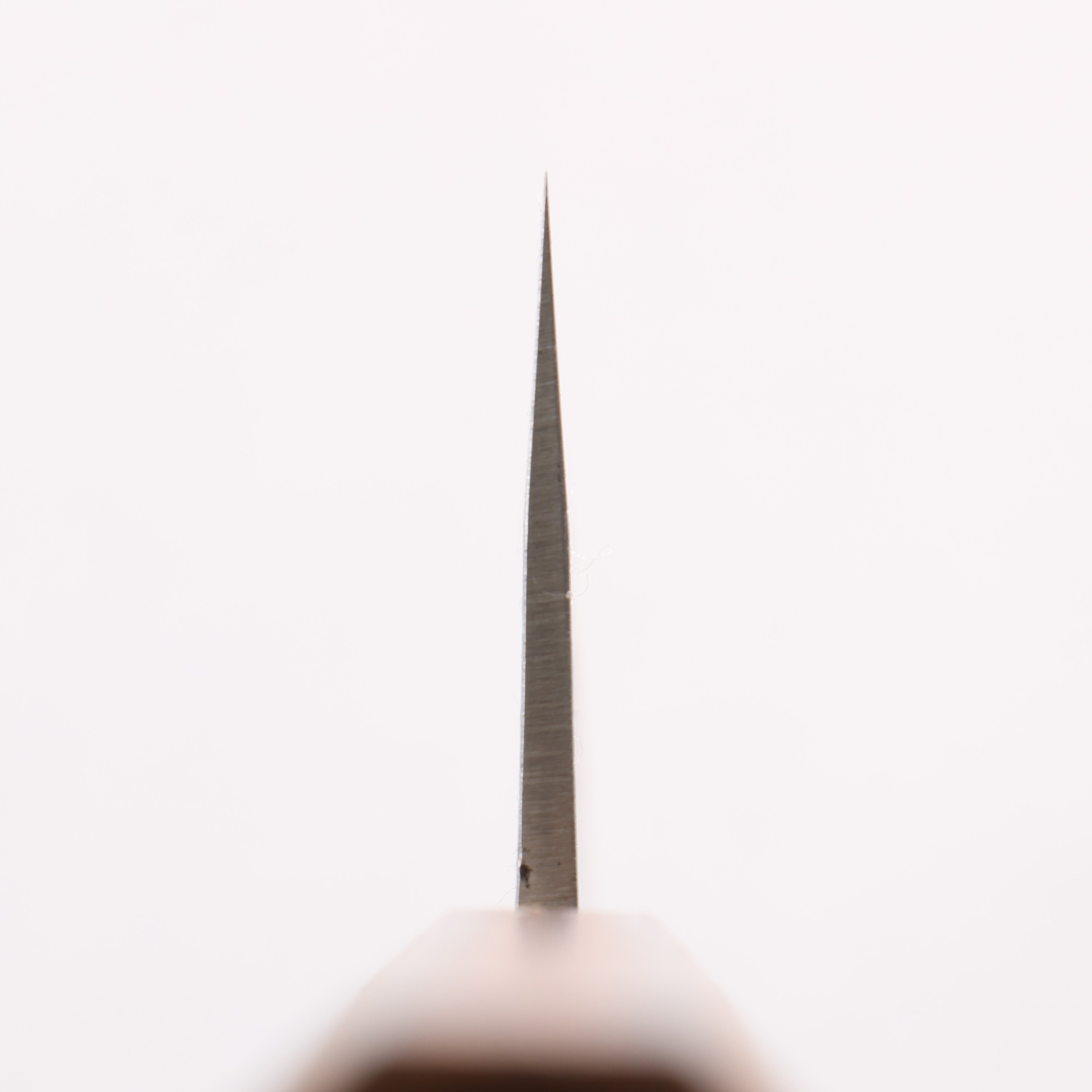 Oul SLD Nashiji Kiritsuke Gyuto 200mm Baikoku Soot Black Oak Handle - Seisuke Knife