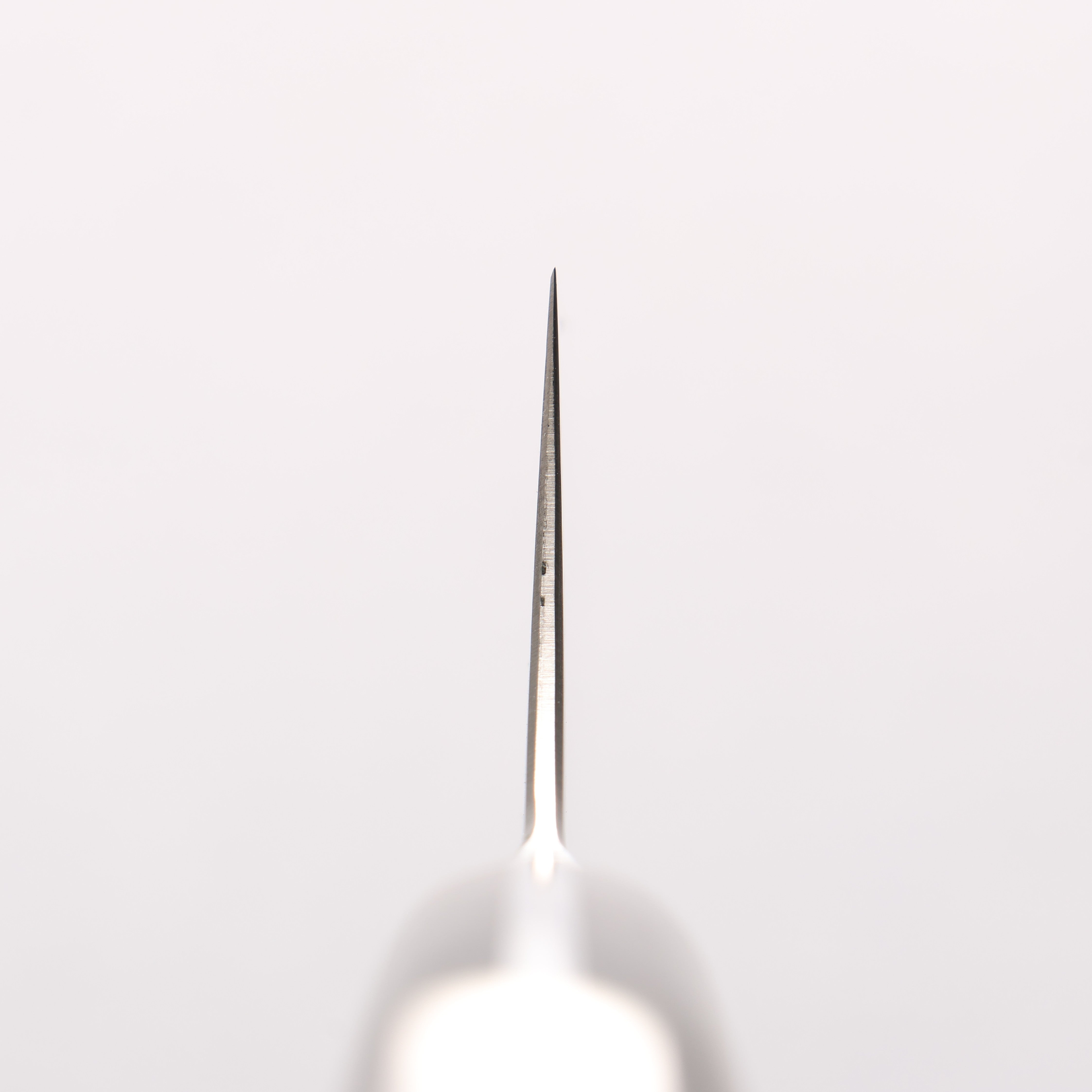 Kajin ZDP189 Damascus Migaki Finished Kiritsuke Gyuto 210mm Chinese Quince Burl Inlay Handle - Seisuke Knife