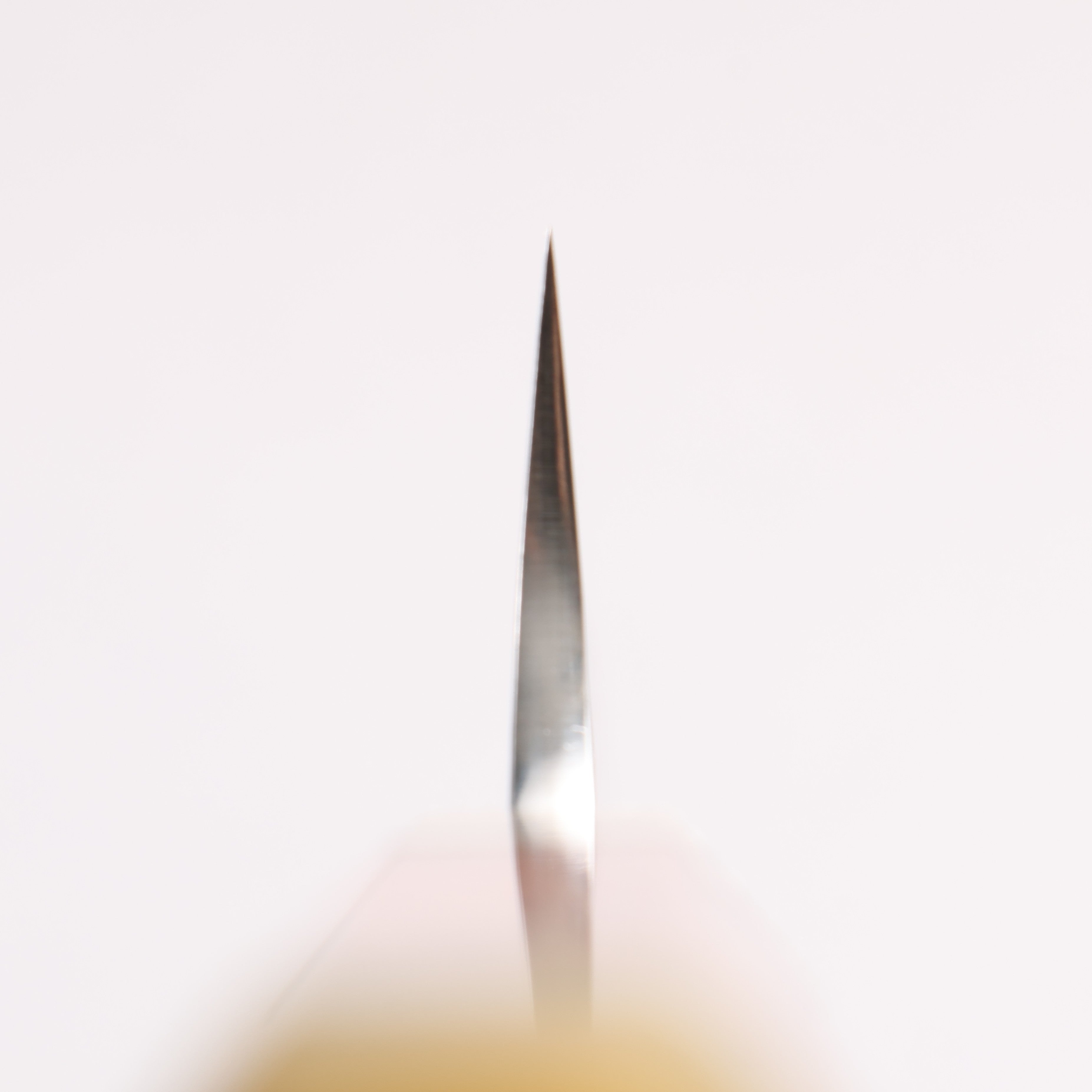 Yu Kurosaki Fujin SG2 Hammered Sujihiki 240mm Snakewood (with Double Marble Horns) Handle - Seisuke Knife