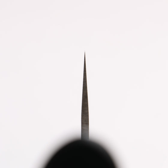 Seisuke VG10 33 Layer Hammered Damascus Gyuto 210mm Black Pakka wood Handle - Seisuke Knife