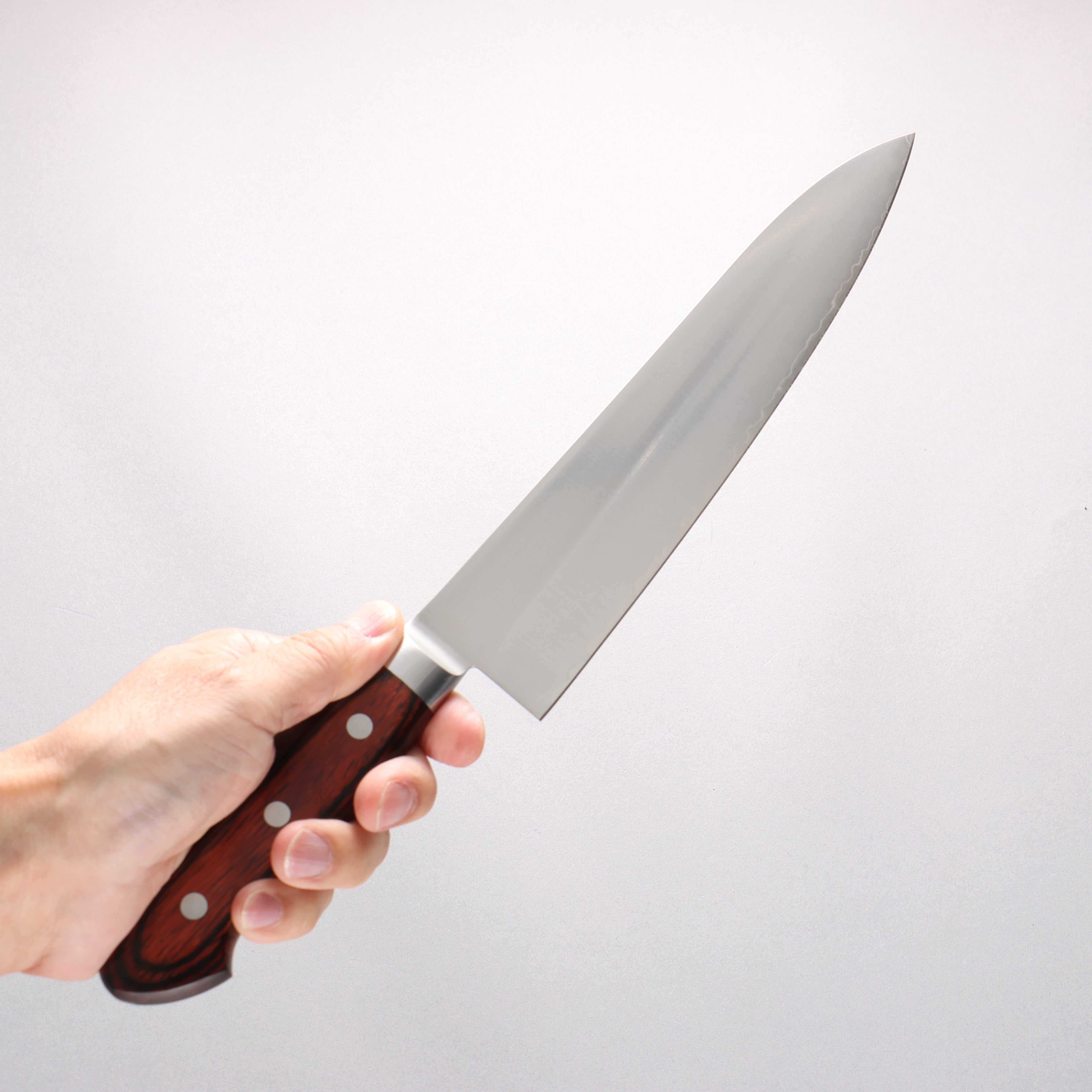 Seisuke No maker's mark SG2 Gyuto 210mm Various colors Handle B Grade - Seisuke Knife