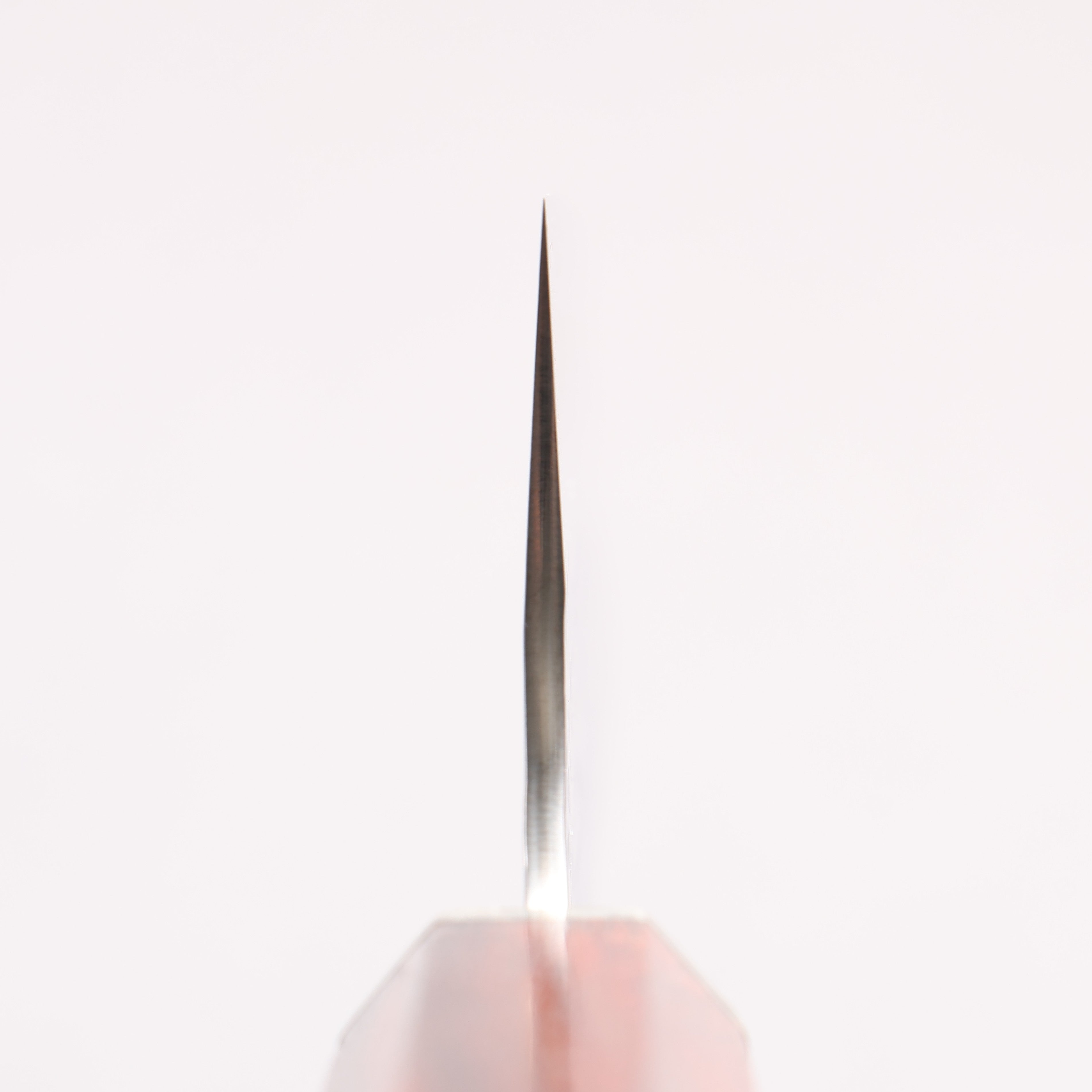 Yu Kurosaki Senko Ei SG2 Hammered Gyuto 210mm Bloodwood & Steel Caps Handle - Seisuke Knife
