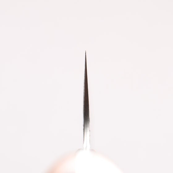 Takeshi Saji SRS13 Hammered Damascus Cross Santoku 180mm Ironwood Handle