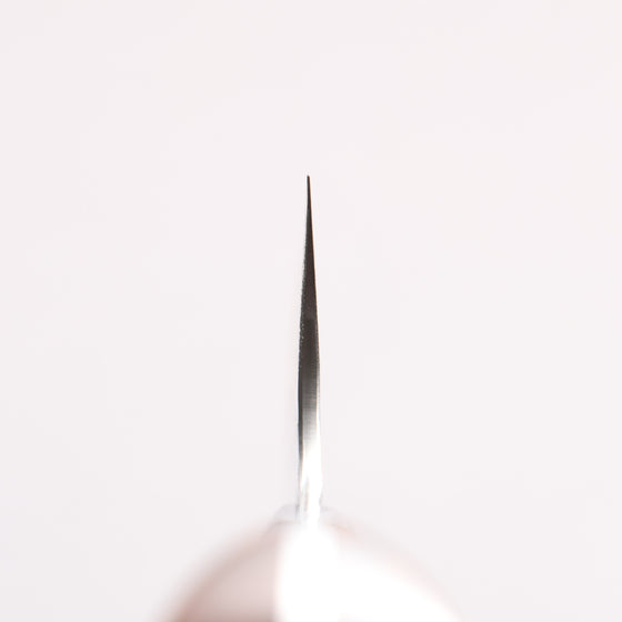 Takeshi Saji SRS13 Hammered Damascus Cross Bunka 180mm Ironwood Handle