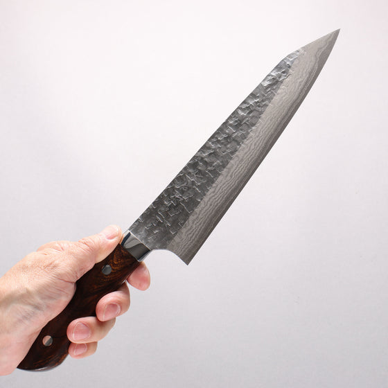 Takeshi Saji SRS13 Hammered Damascus Cross Kiritsuke Gyuto 210mm Ironwood Handle