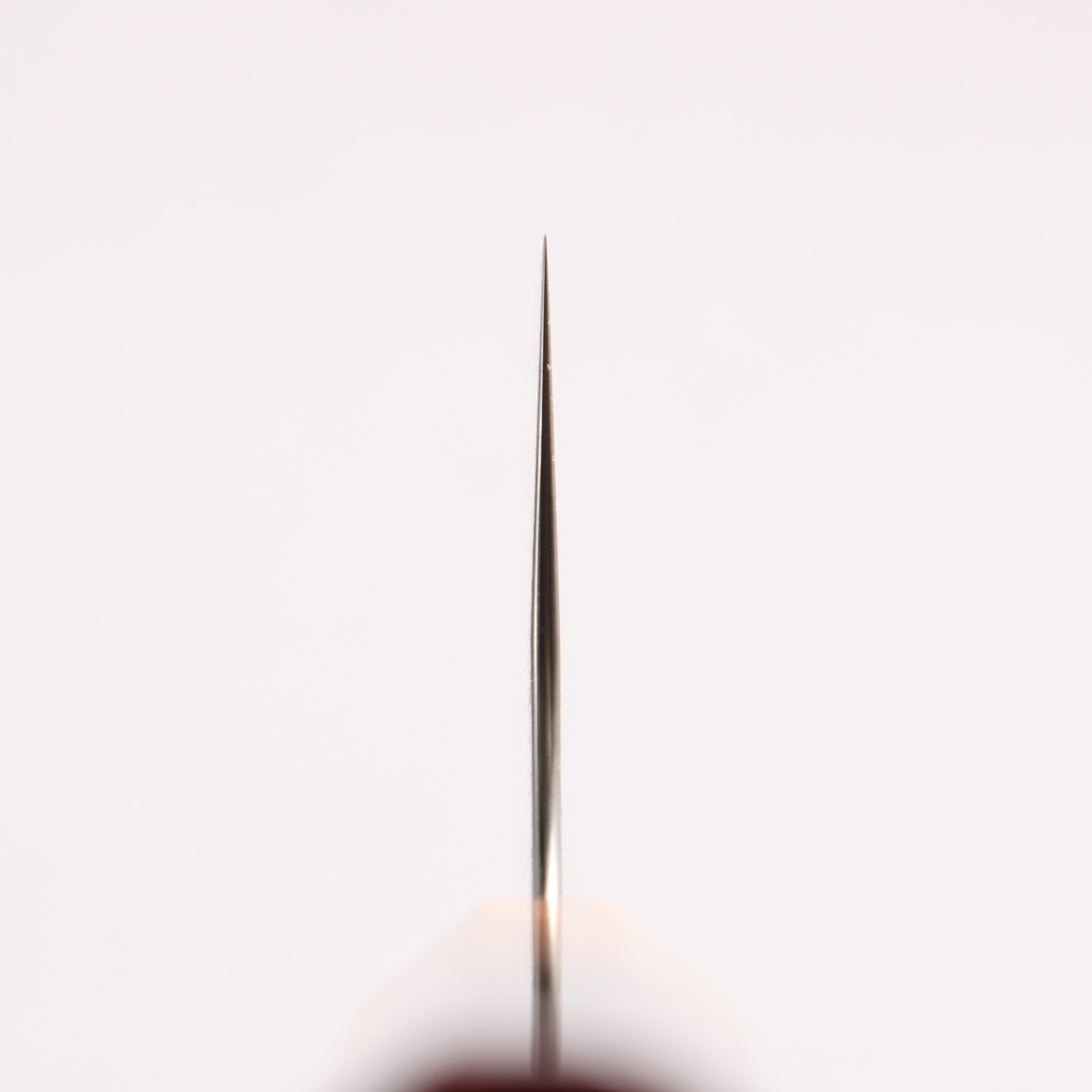 Yoshimi Kato SG2 Black Damascus Gyuto 240mm Olive Tree and Red Resin Handle - Seisuke Knife