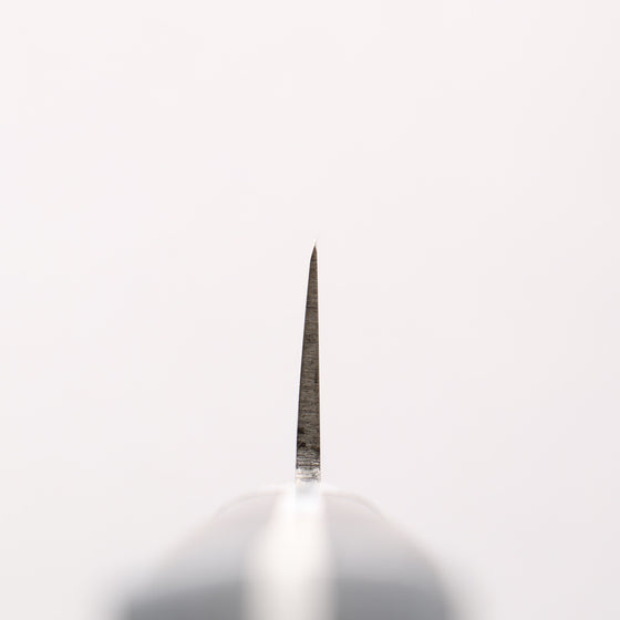 Masahiro Japanese Steel (ZCD-U) Sujihiki