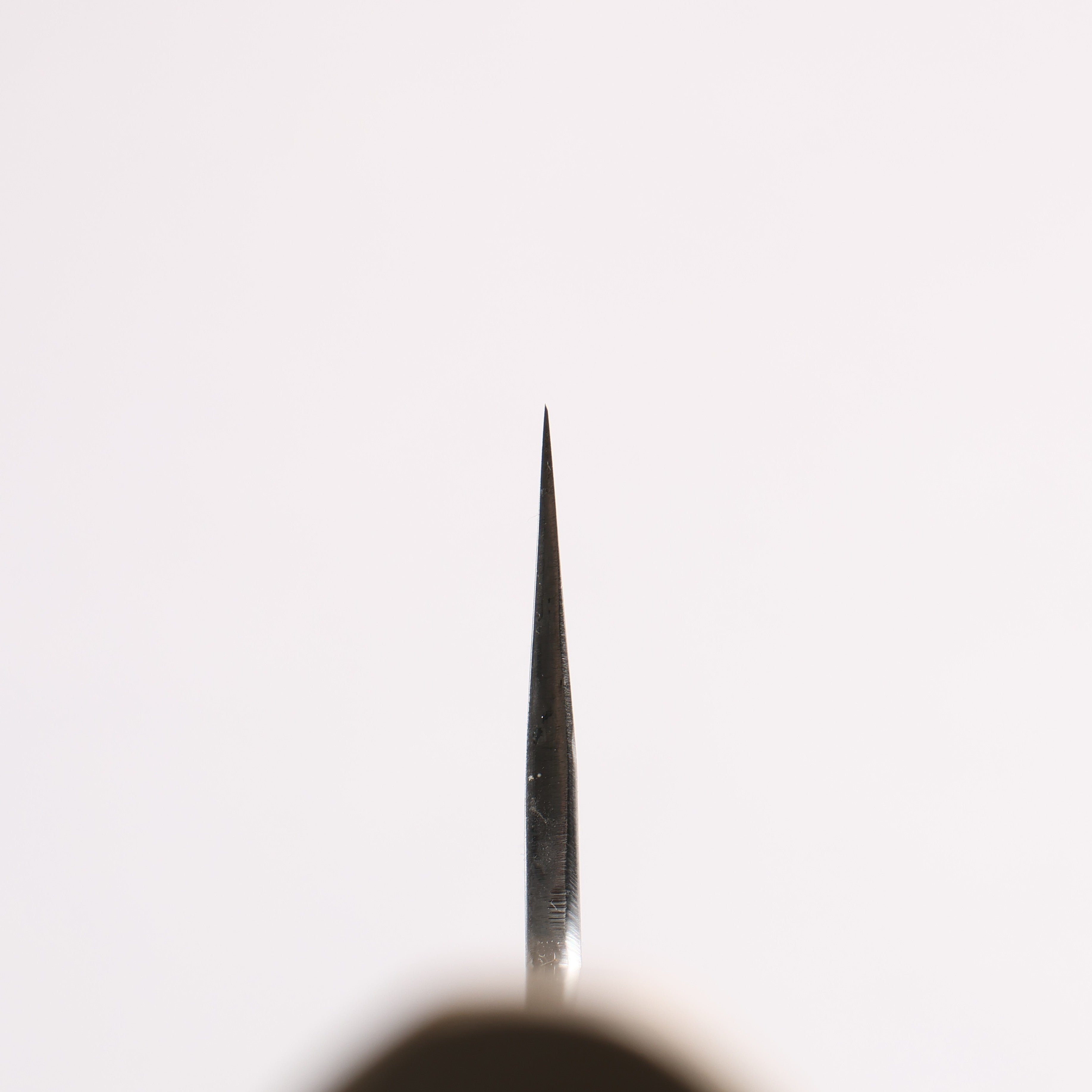 Sakai Kikumori White Steel No.1 Gyuto 210mm Magnolia (Ferrule: Water Buffalo Horn) Handle - Seisuke Knife