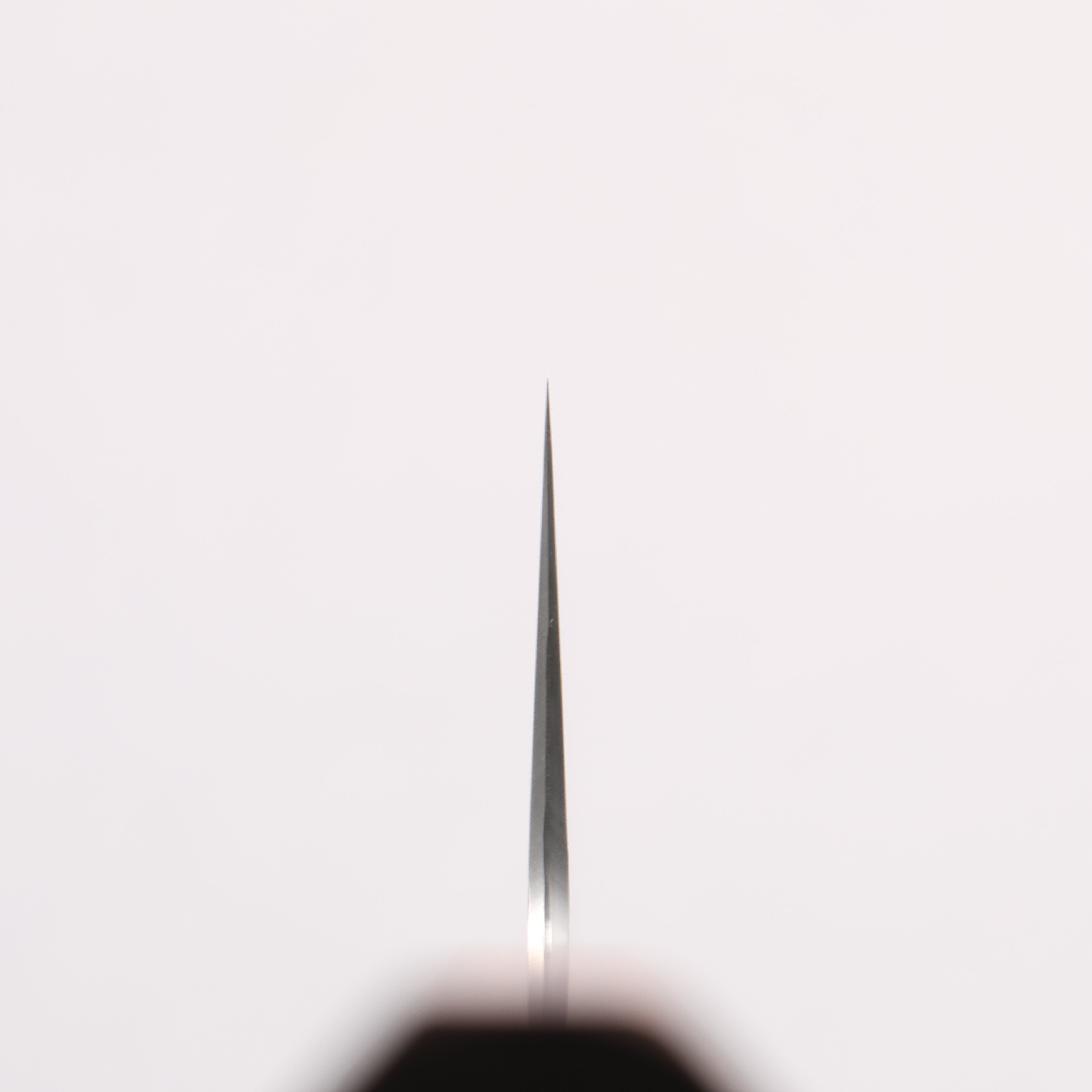 Hado Kirisame White Steel No.1 Gyuto 210mm Kijiro-nuri Lacquered Handle - Seisuke Knife