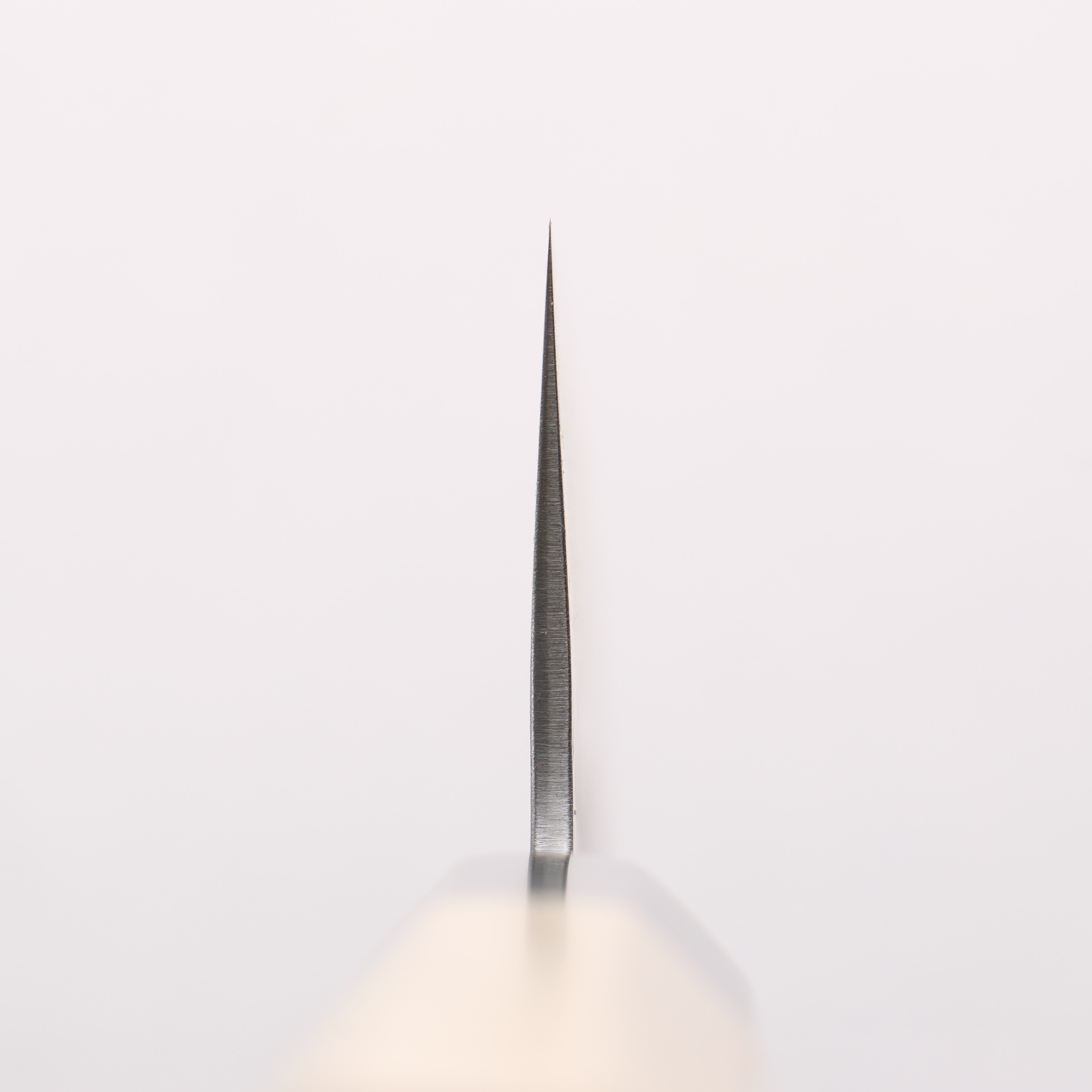 OUL White Steel No.2 Hammered Gyuto 210mm Magnolia Handle - Seisuke Knife