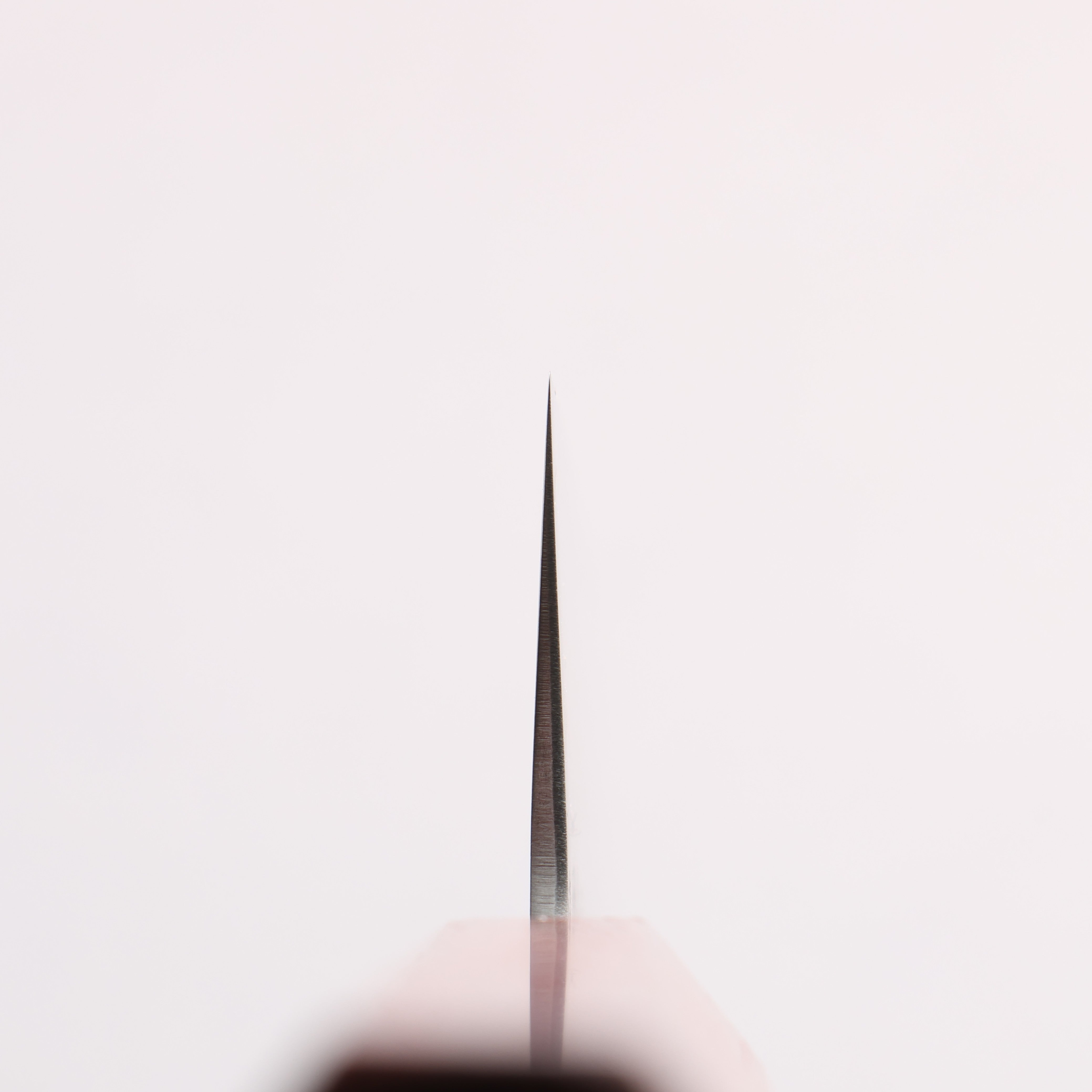 Oul Silver Steel No.3 Nashiji Gyuto 210mm Padoauk Handle - Seisuke Knife
