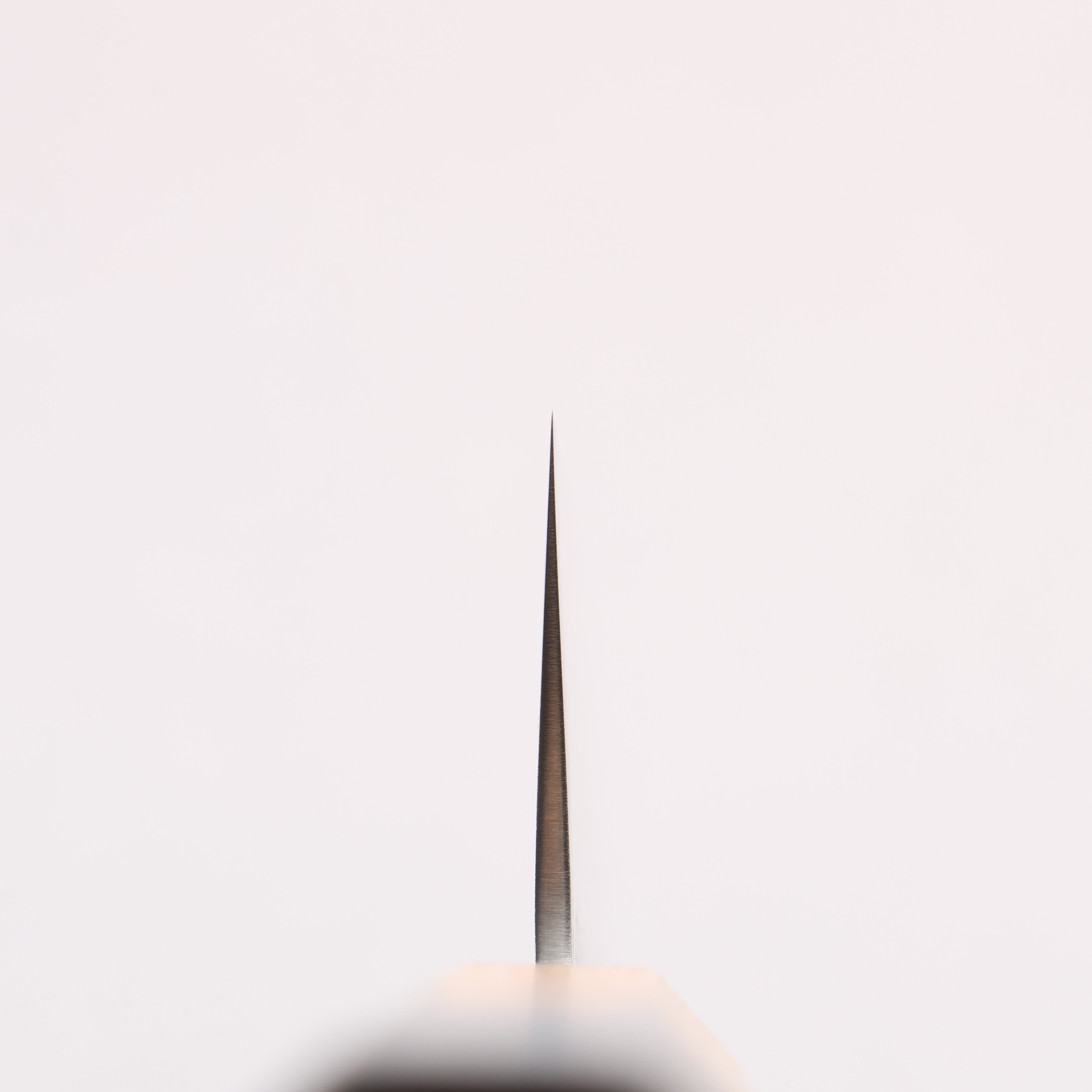 Oul Silver Steel No.3 Nashiji Gyuto 210mm Burnt Oak Handle - Seisuke Knife