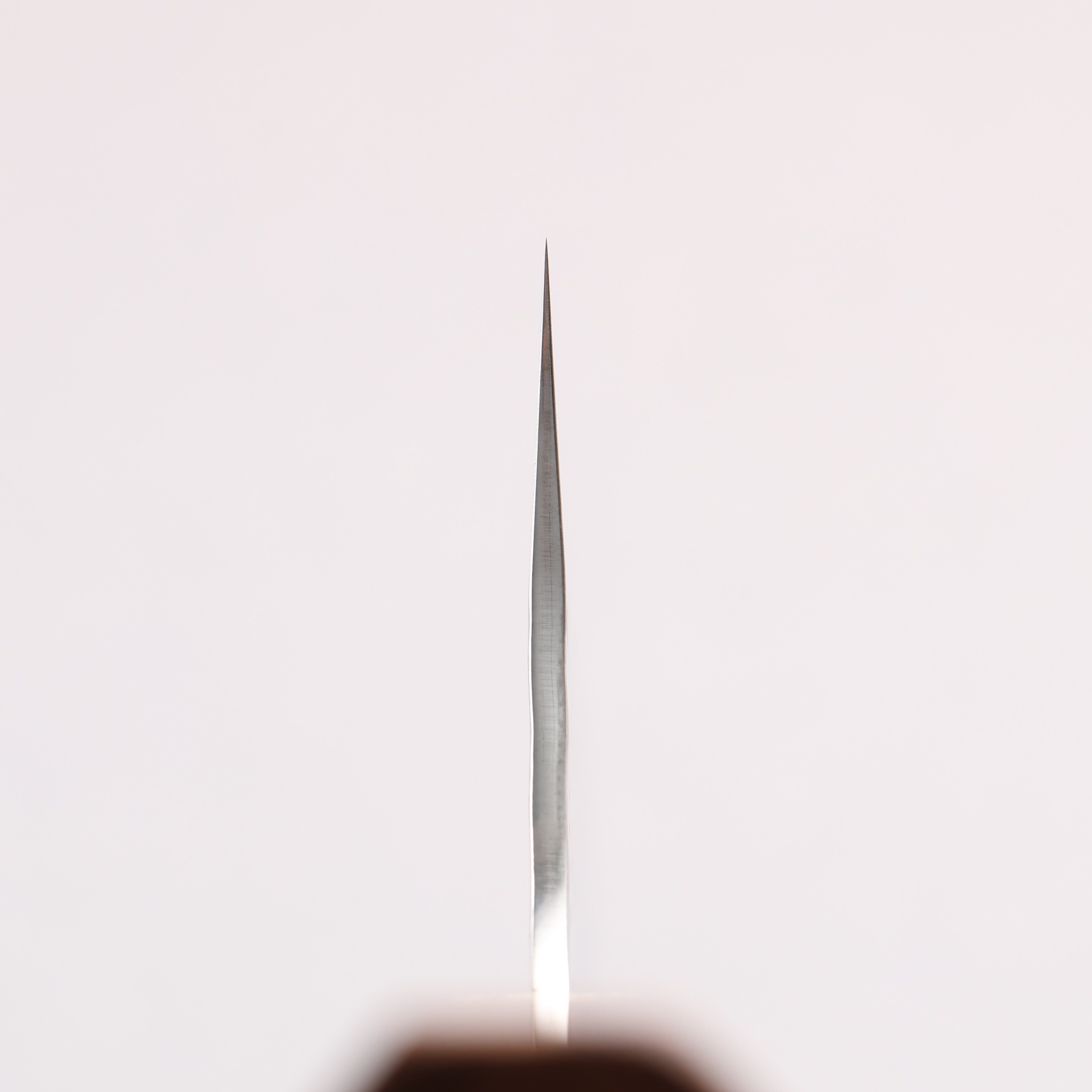 Yu Kurosaki Senko Ei SG2 Hammered Gyuto 240mm Brazilwood with white ring (ferrule: Chinese Quince) Handle - Seisuke Knife