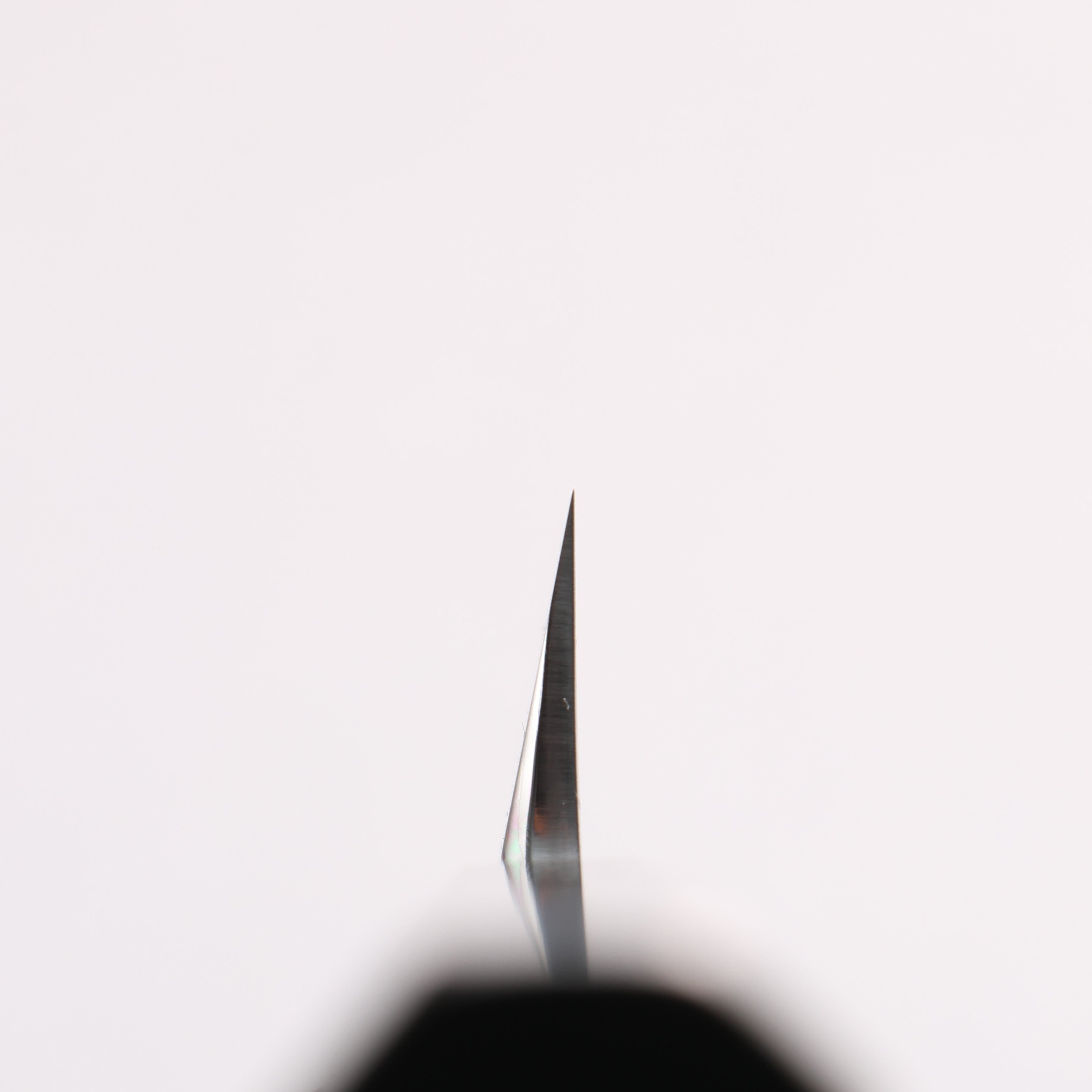Tessen by Tanaka Tamahagane Mirrored Finish Yanagiba 240mm Ebony Wood Handle with Sheath - Seisuke Knife