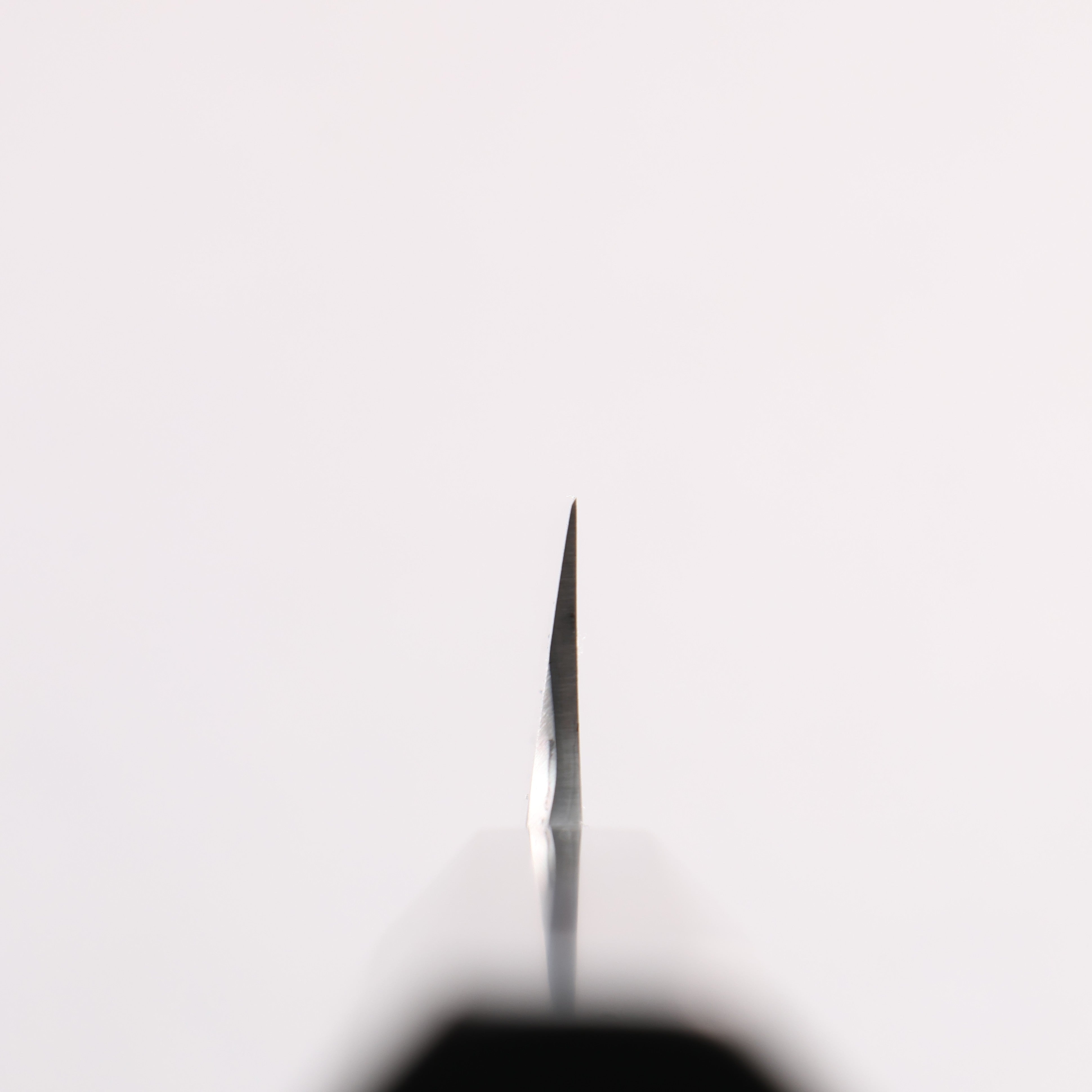 Tessen by Tanaka Tamahagane Mirrored Finish Yanagiba 270mm Ebony Wood Handle with Sheath - Seisuke Knife