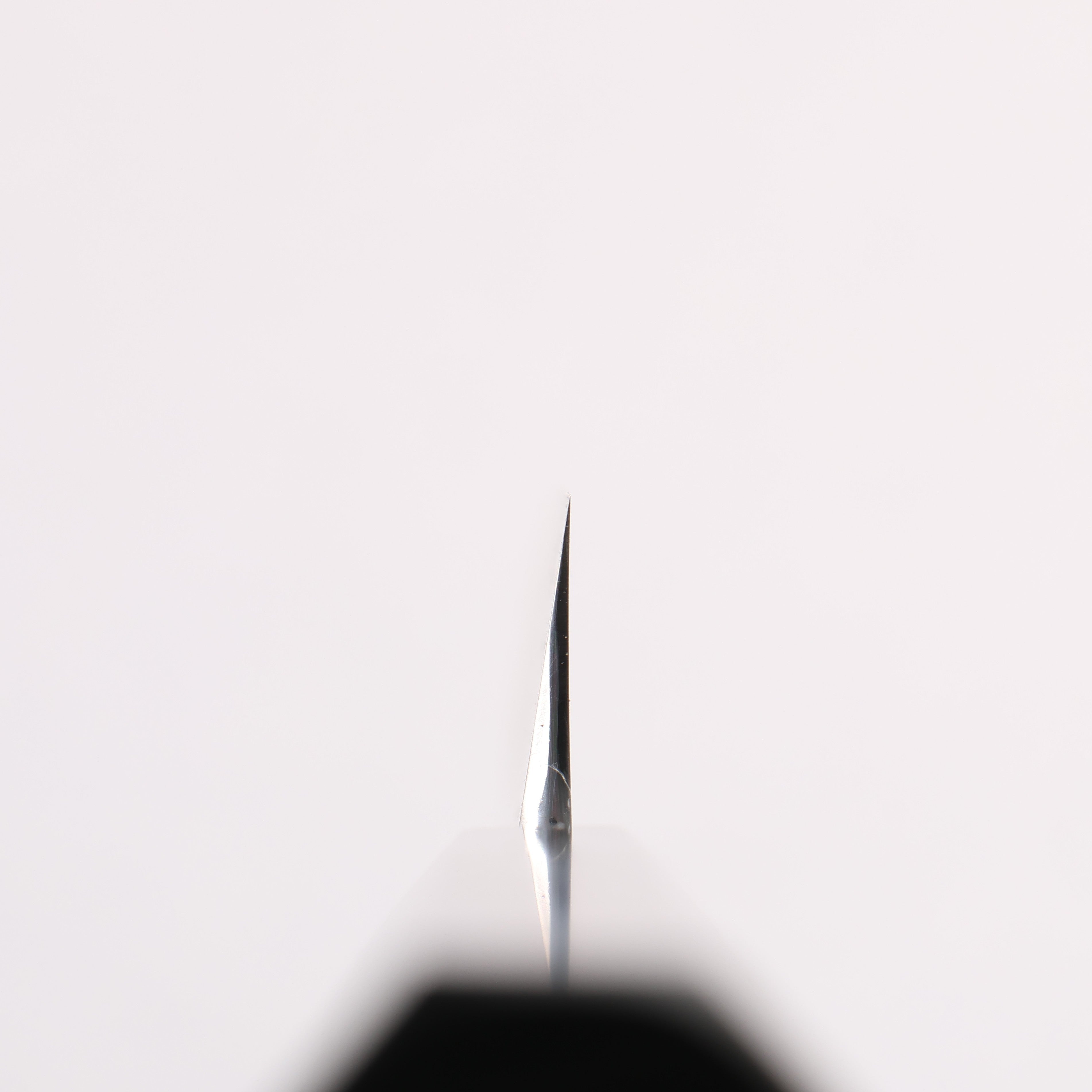 Tessen by Tanaka Tamahagane Mirrored Finish Kiritsuke Yanagiba 300mm Ebony Wood Handle with Sheath - Seisuke Knife