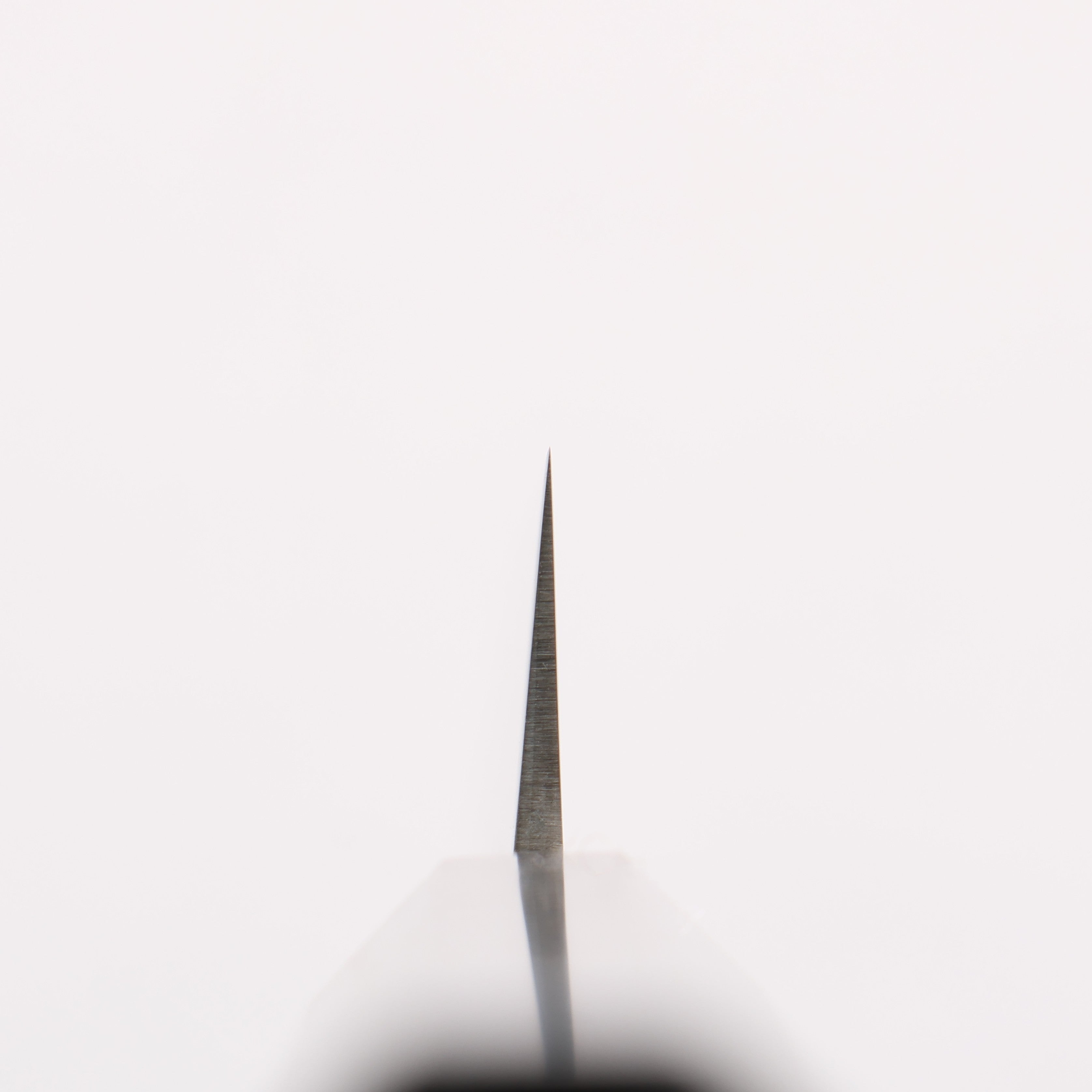 Seisuke SG2 Petty-Utility 135mm Ebony Wood Handle - Seisuke Knife