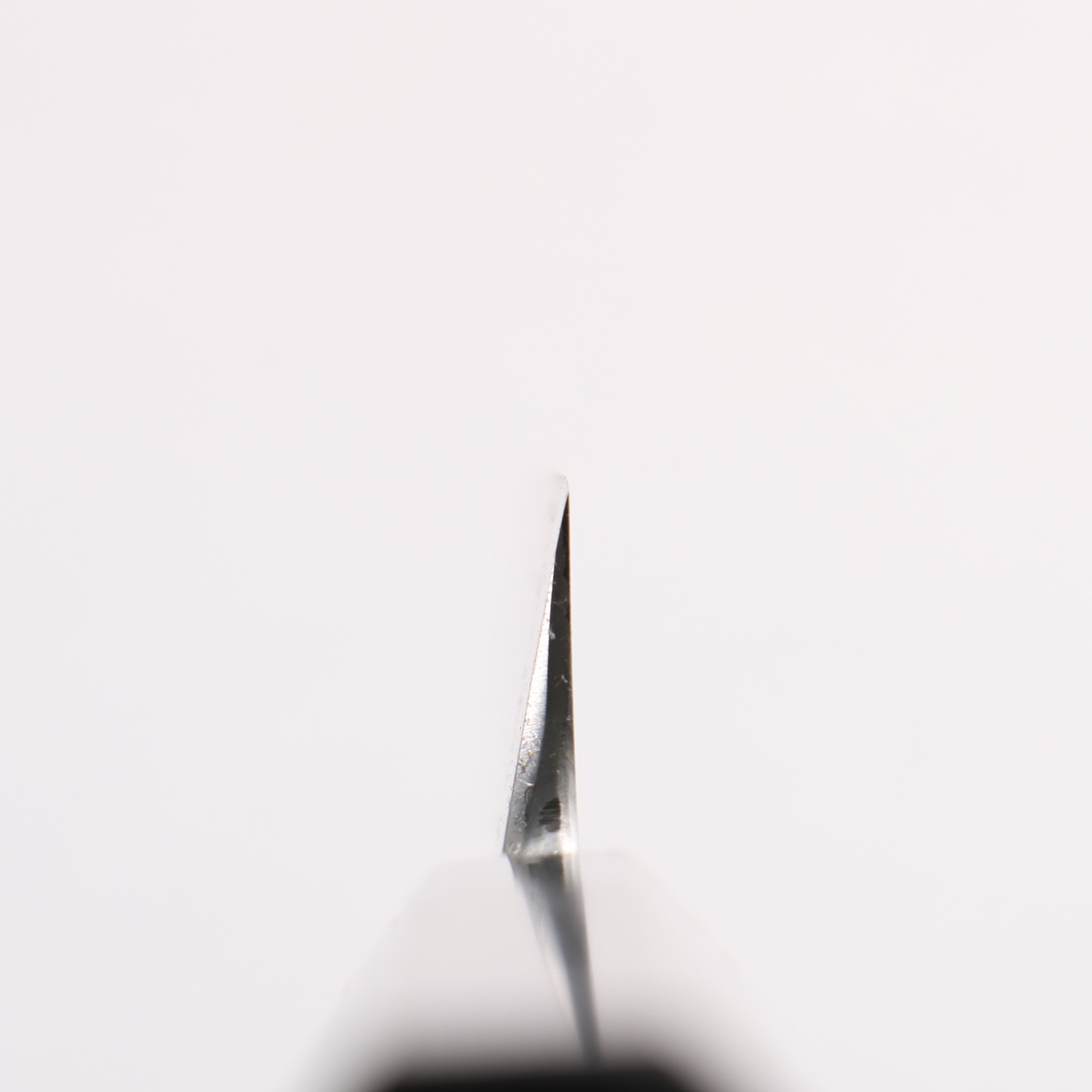 Minamoto Akitada Blue Steel No.2 Yanagiba 270mm Ebony Wood (ferrule: Black Water Buffalo Horn) Handle - Seisuke Knife