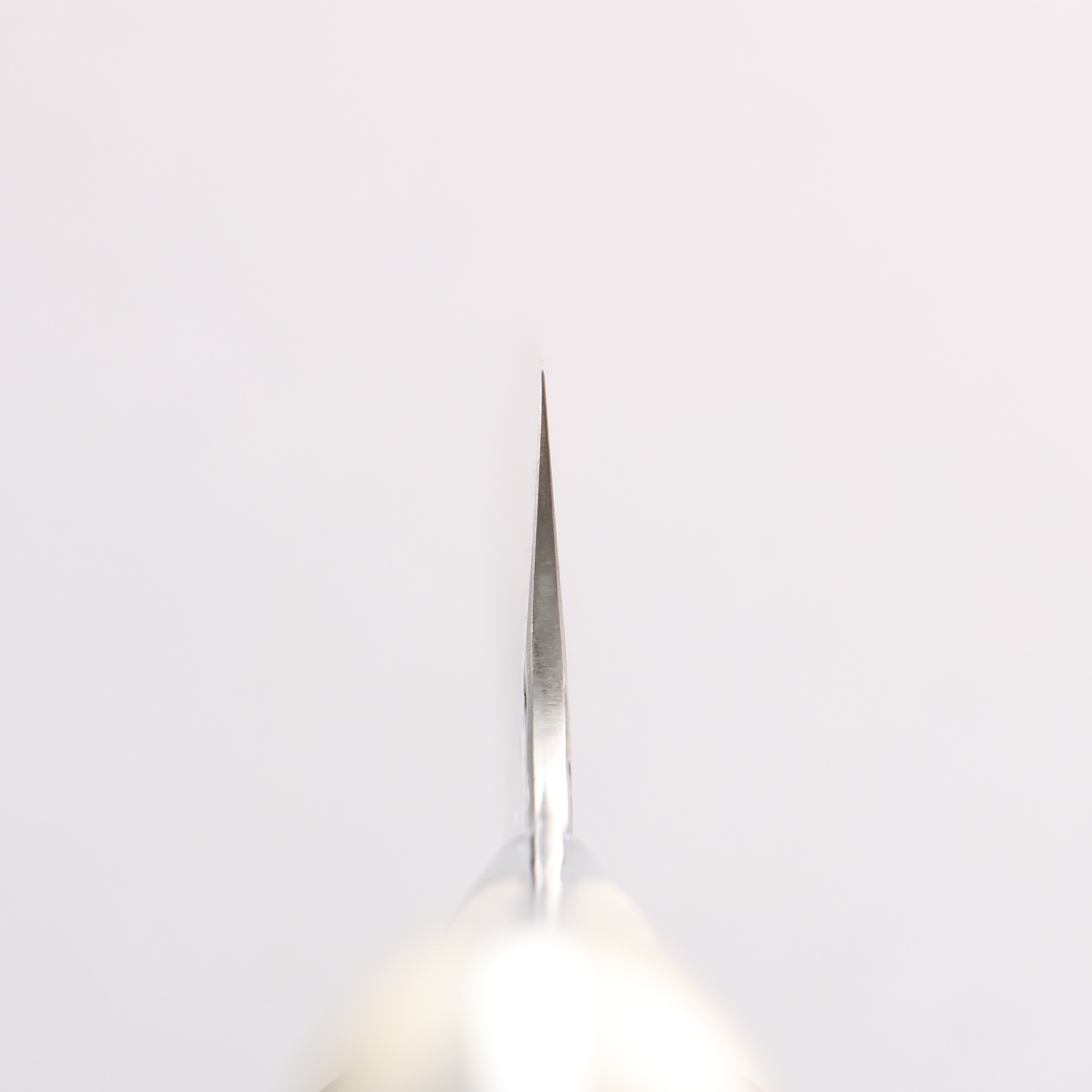 Takeshi Saji SRS13 Hammered Damascus Kiritsuke Sujihiki 240mm White Deer Horn Handle - Seisuke Knife
