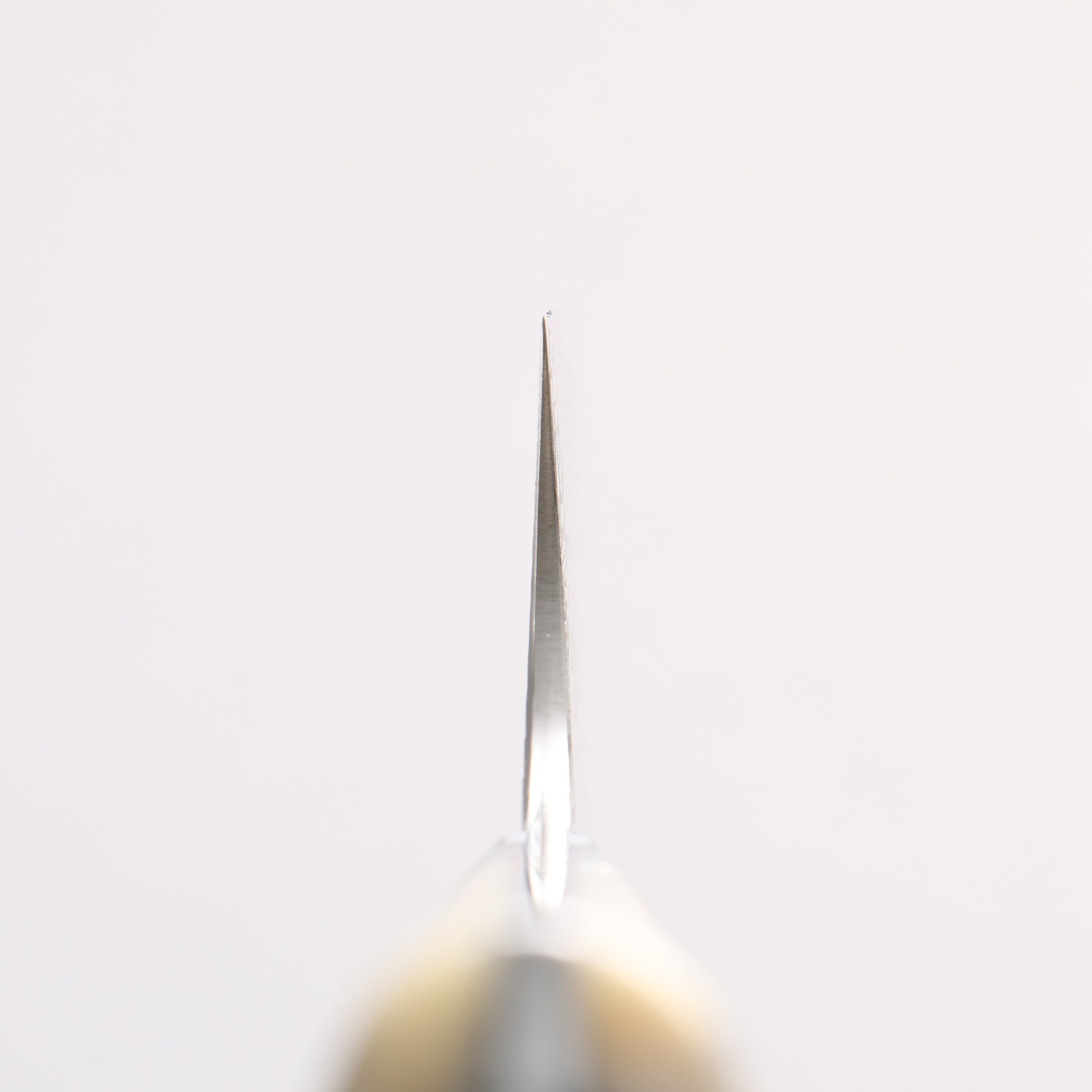 Takeshi Saji SG2 Diamond Finish Damascus Bunka 180mm White Deer Horn Handle - Seisuke Knife