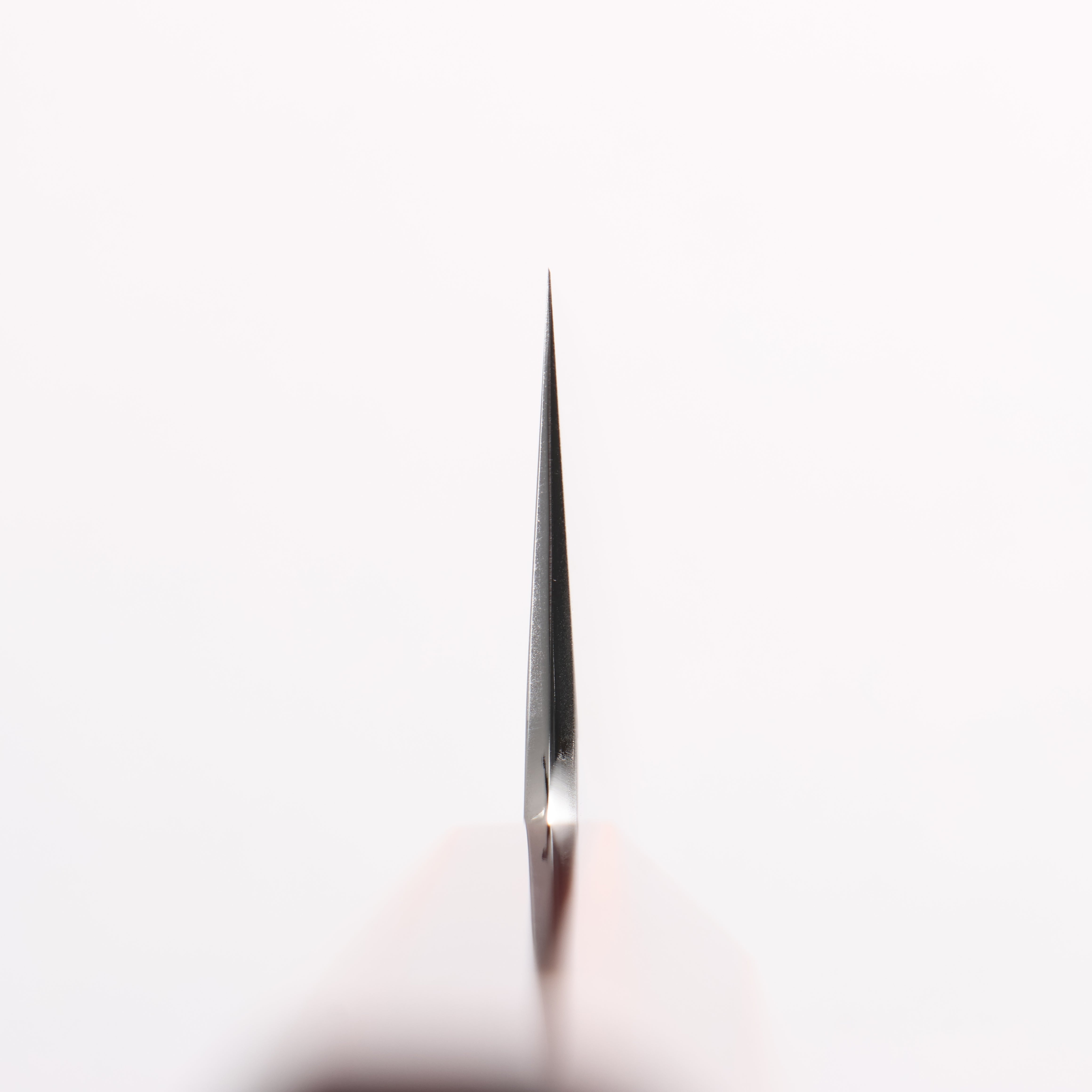 Hado Silver Steel No.3 Migaki Gyuto 210mm Kijiro-Nuri Lacquered Handle - Seisuke Knife