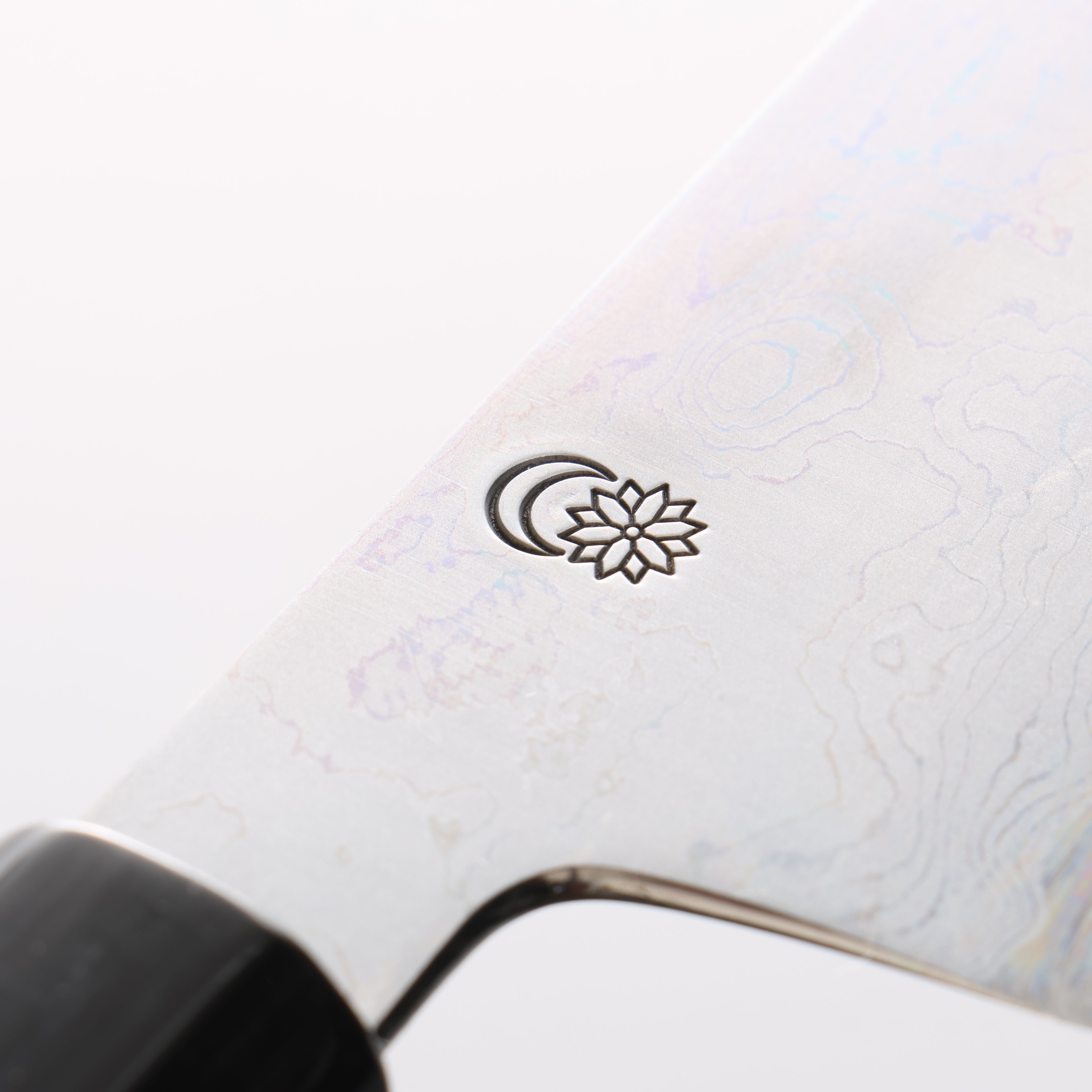 Kikuzuki Blue Steel No.1 Damascus Kiritsuke Gyuto 240mm Magnolia Handle - Seisuke Knife
