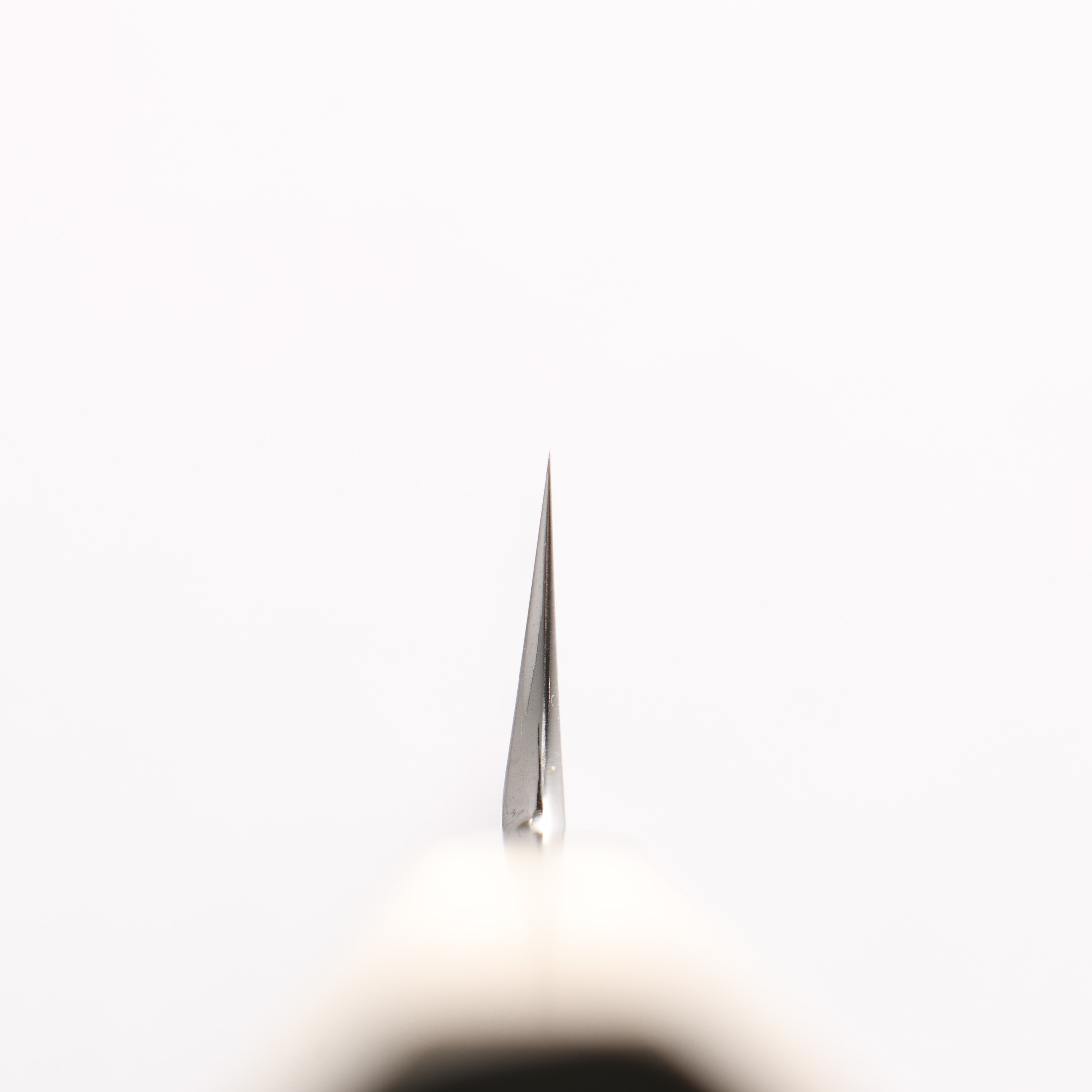 Sakai Kikumori VG10 Mirrored Finish Kiritsuke Yanagiba 300mm Magnolia Handle - Seisuke Knife