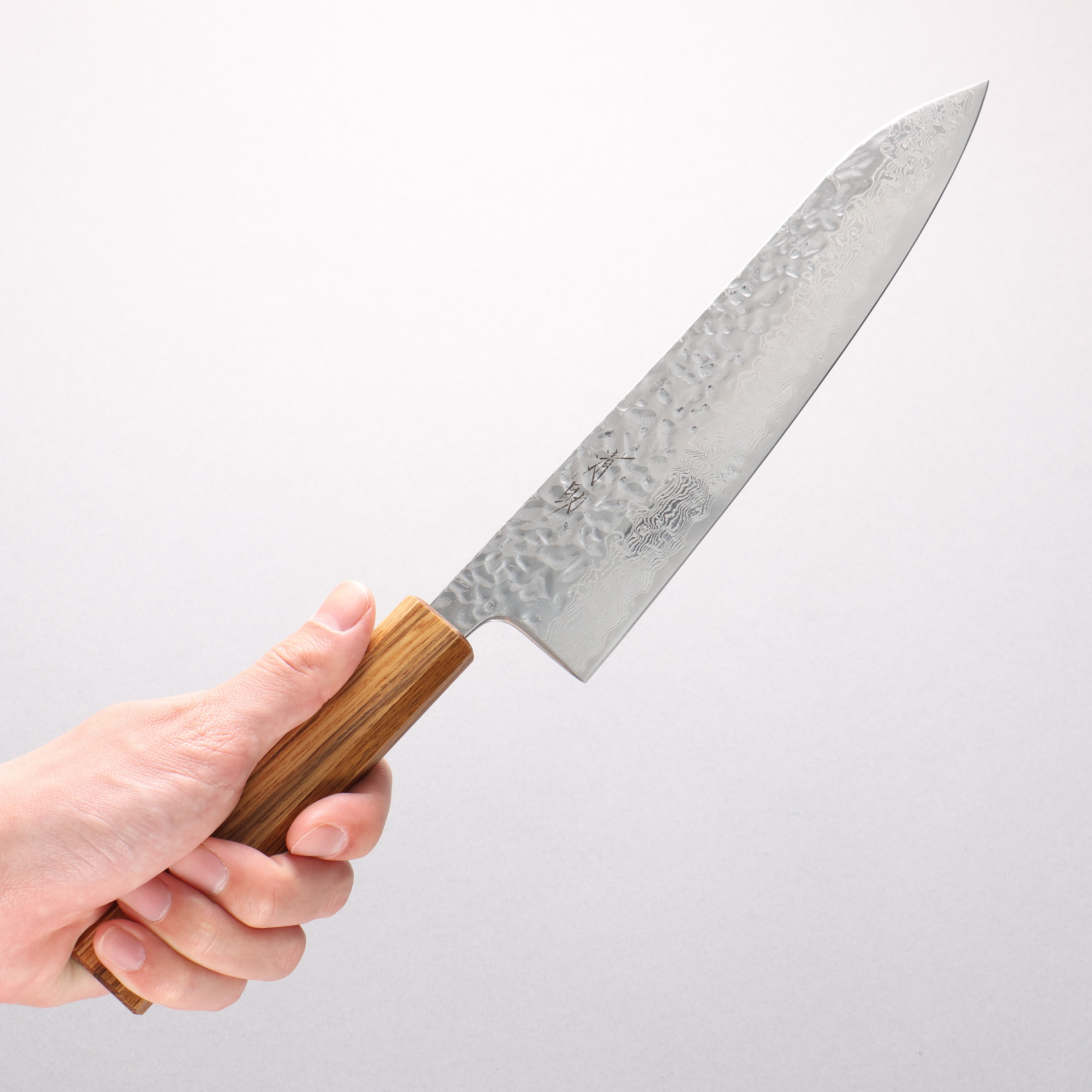 Seisuke Tsukikage AUS10 Migaki Hammered Damascus Gyuto 210mm Oak Handle - Seisuke Knife