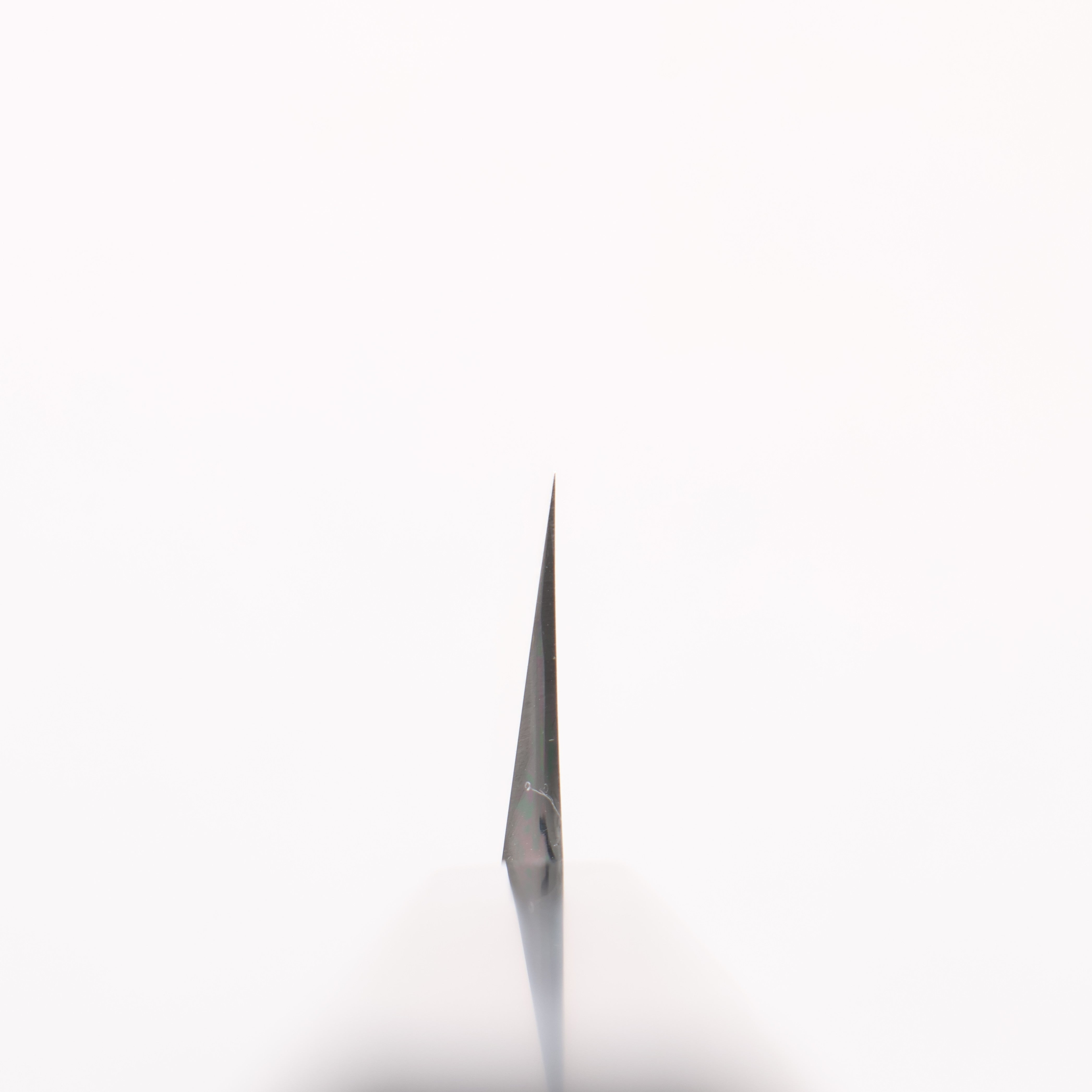 Tessen by Tanaka Tamahagane Sakimaru Yanagiba 300mm Ebony Wood Handle with Sheath - Seisuke Knife