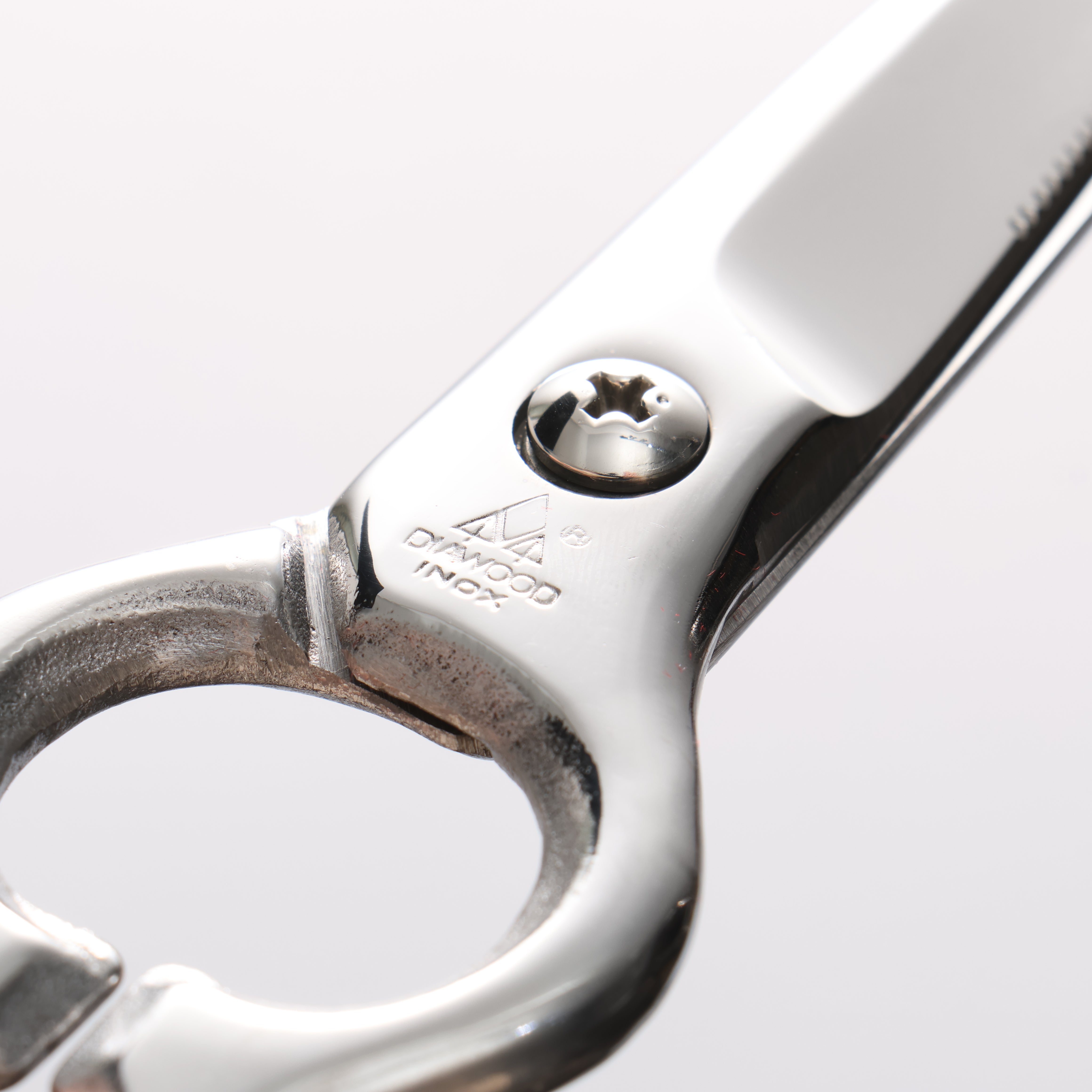 MT INOX Stainless Steel Scissors - Seisuke Knife