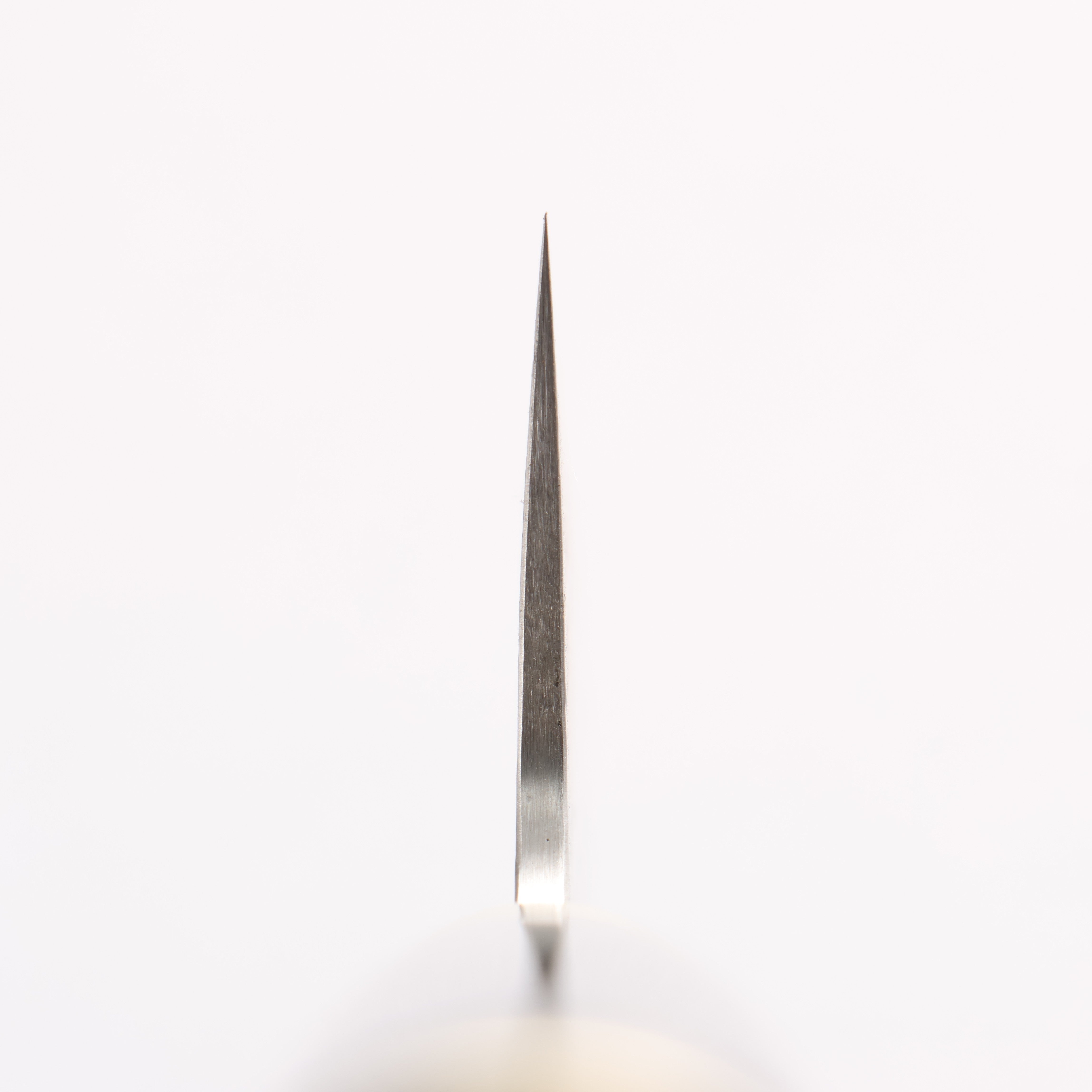 Takeshi Saji Maki-e Art Fujin & Raijin SG2 Diamond Finish Gyuto 210mm Maki-e Art Handle with Sheath - Seisuke Knife