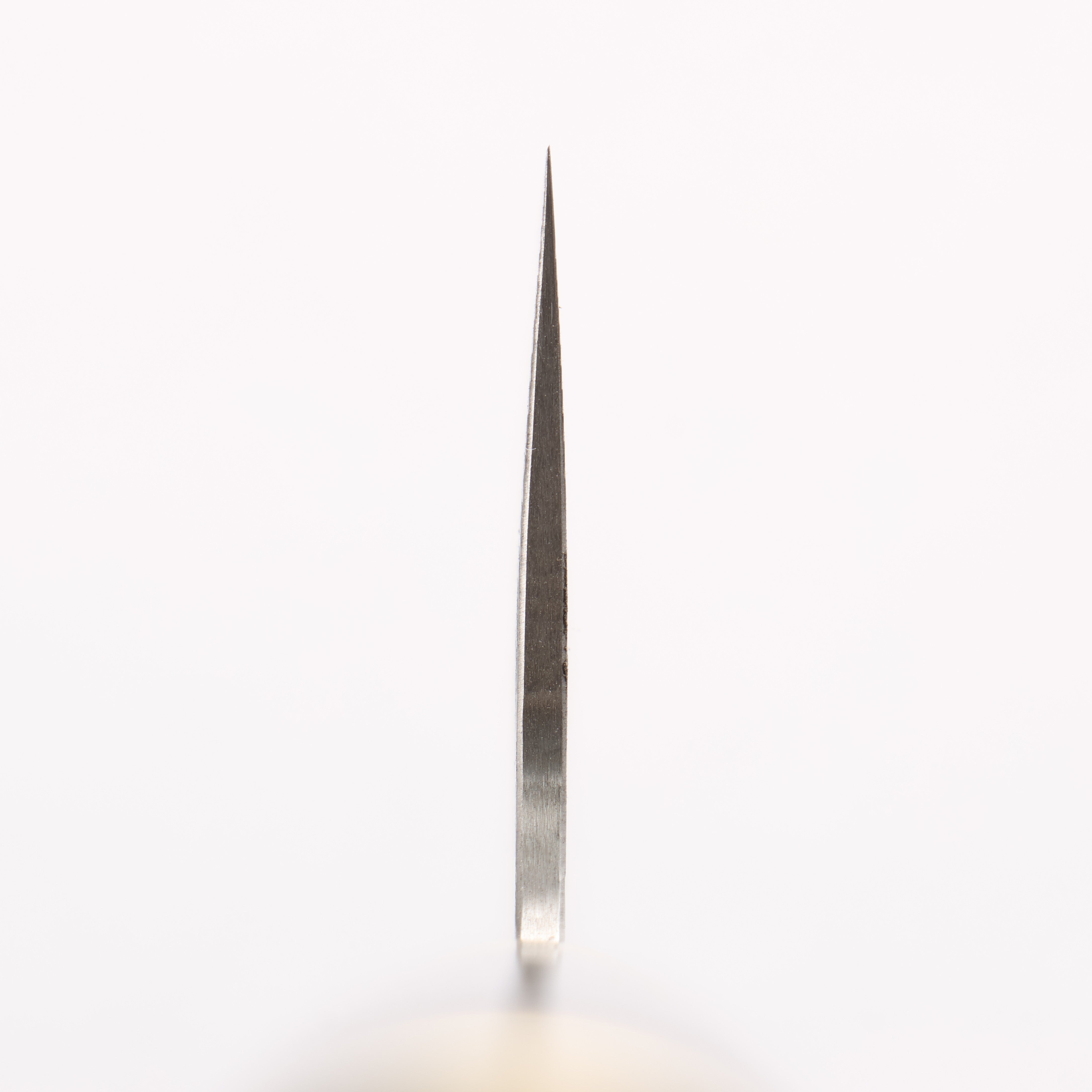 Takeshi Saji Maki-e Art Fujin & Raijin SG2 Diamond Finish Gyuto 240mm Maki-e Art Handle with Sheath - Seisuke Knife