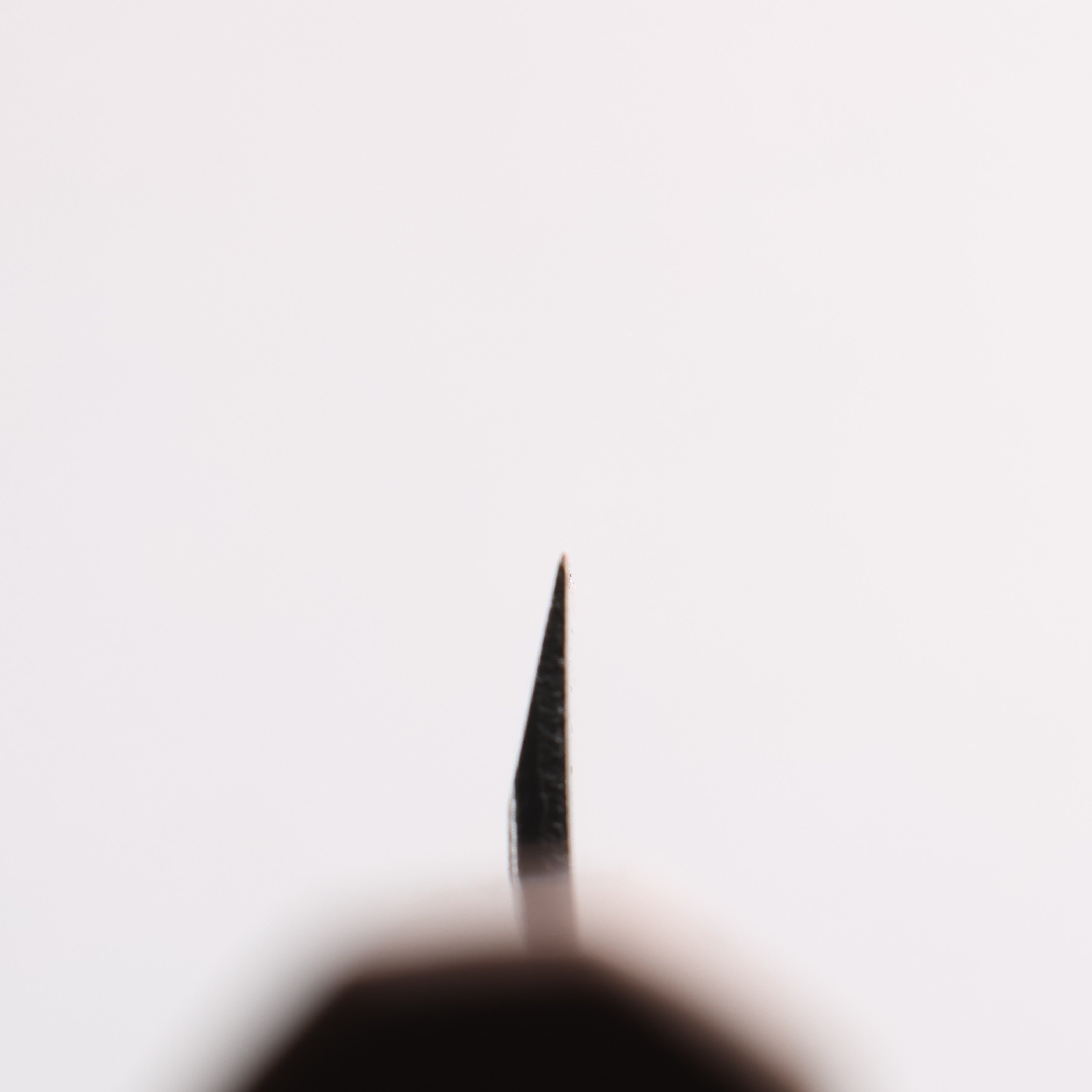 Seisuke Blue Steel No.2 Black Finished Ajikiri 90mm Walnut Handle - Seisuke Knife