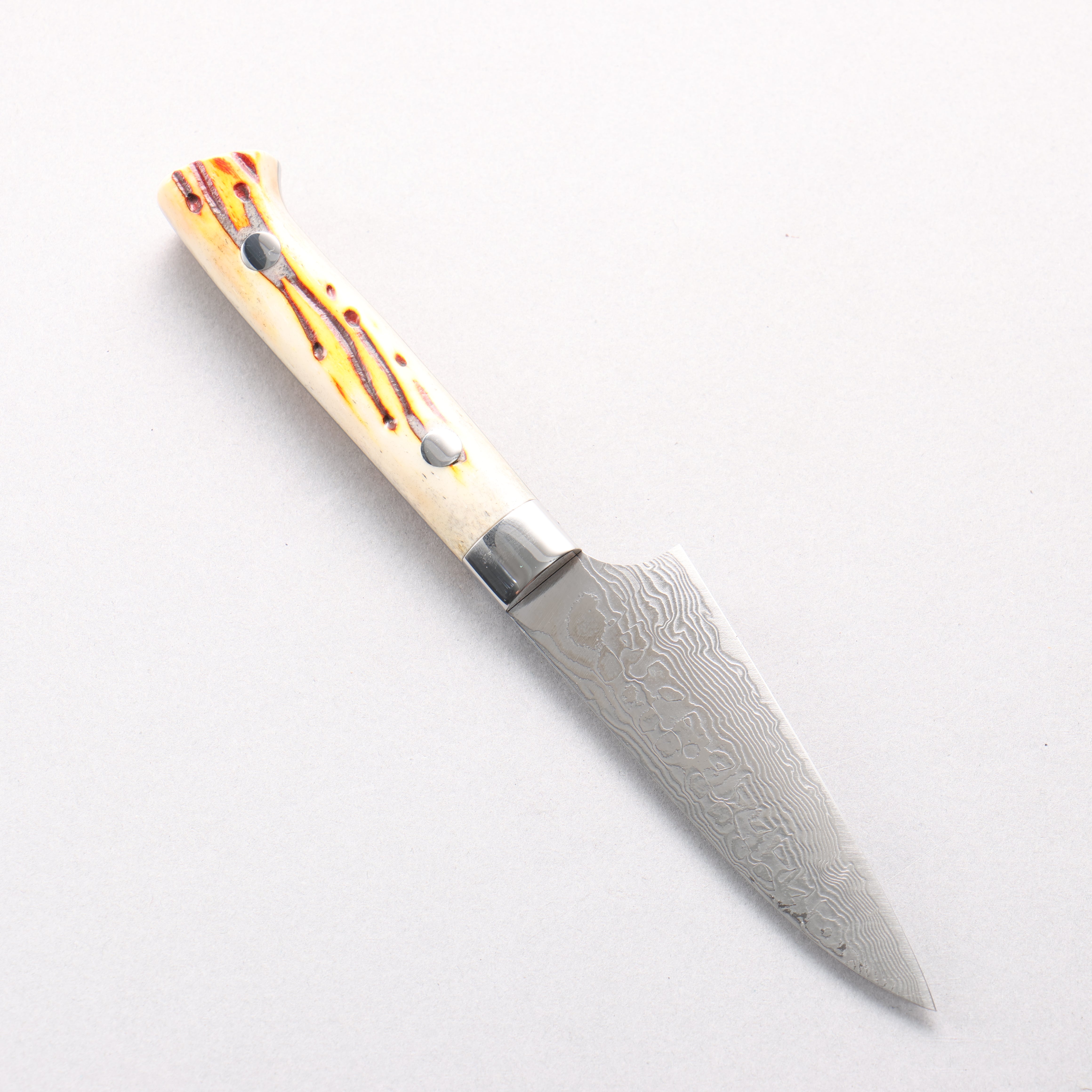 Takeshi Saji SG2 Diamond Finish Damascus Petty-Utility 90mm Orange Cow Bone Handle - Seisuke Knife