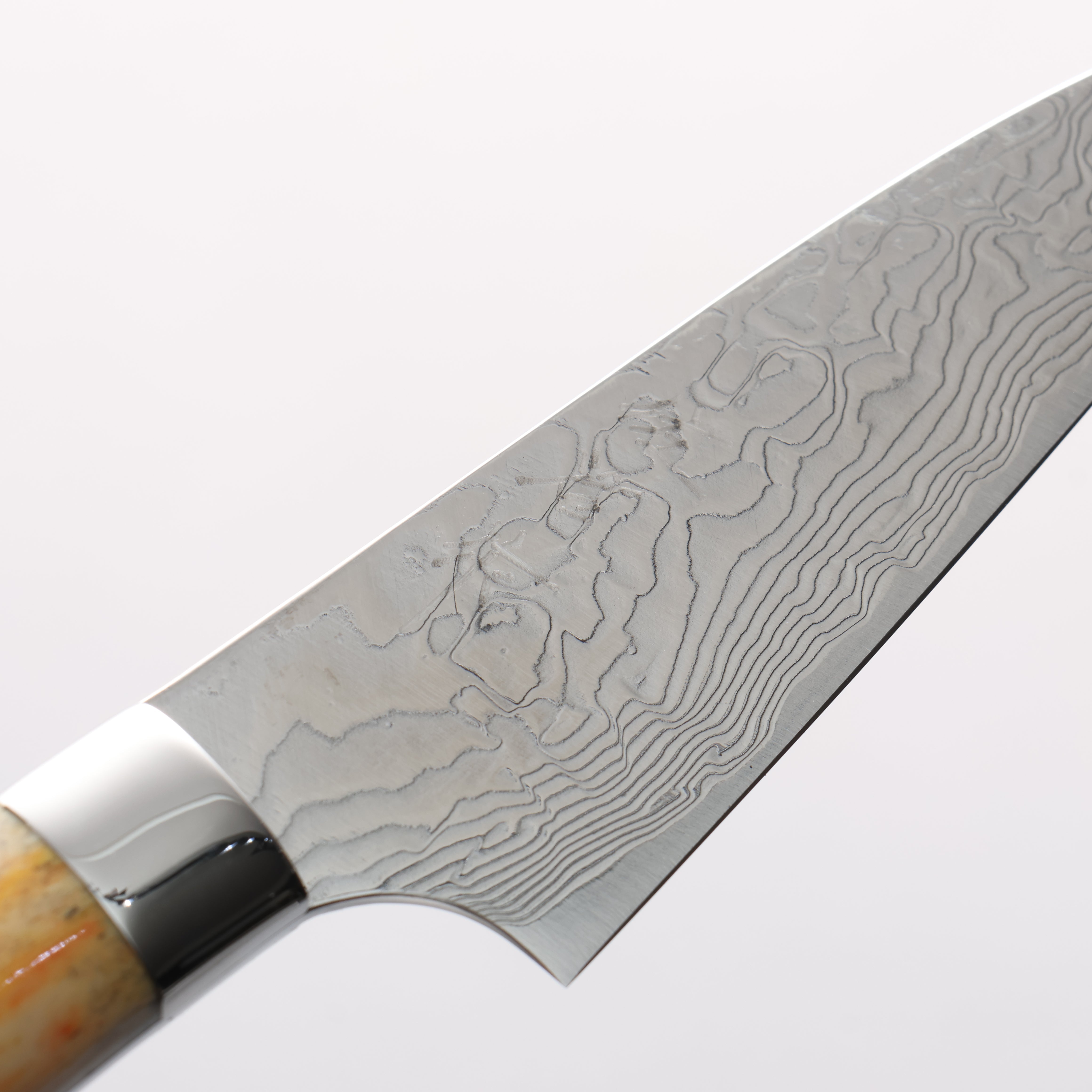 Takeshi Saji SG2 Diamond Finish Damascus Petty-Utility 90mm Orange Cow Bone Handle - Seisuke Knife