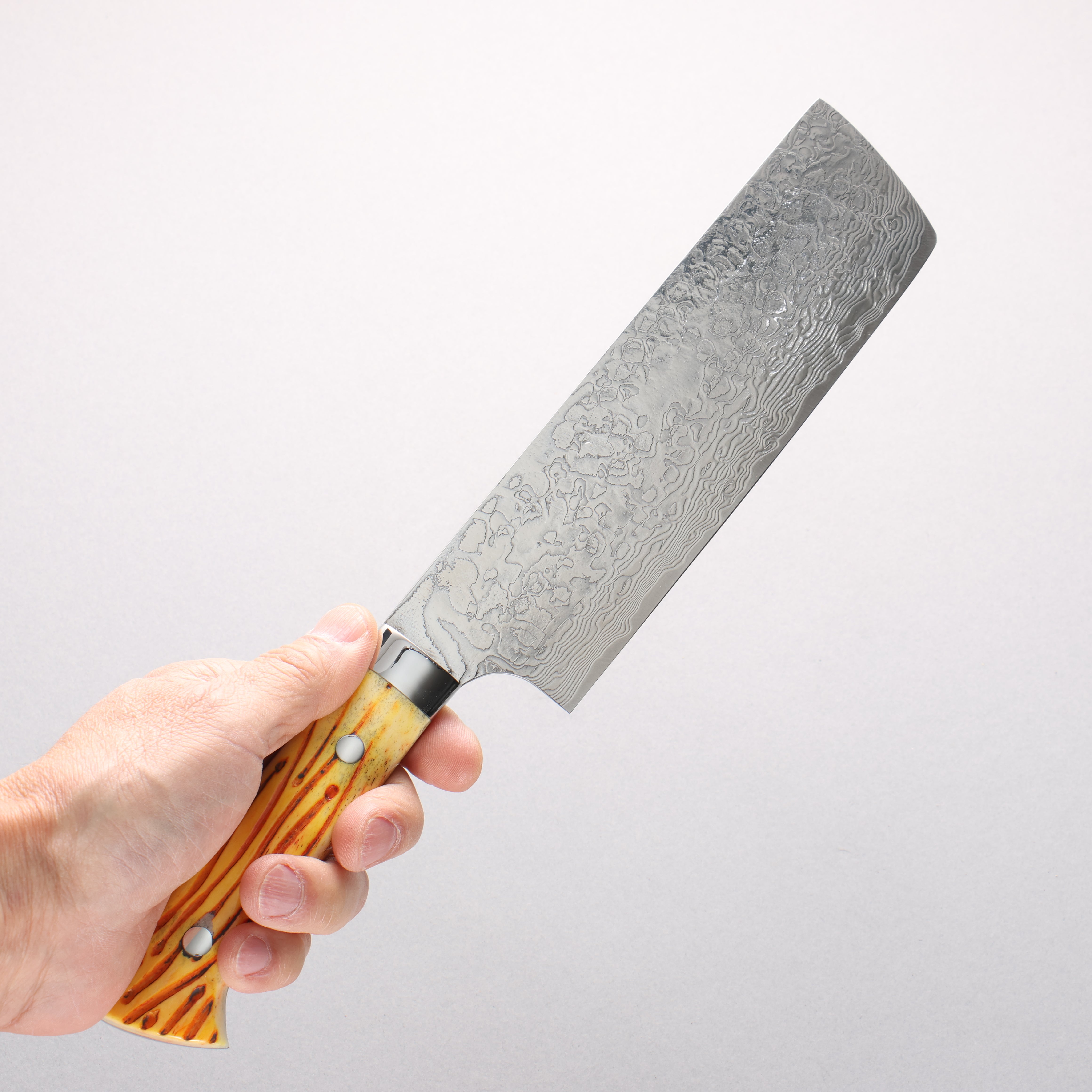 Takeshi Saji SG2 Diamond Finish Damascus Nakiri 165mm Orange Cow Bone Handle - Seisuke Knife