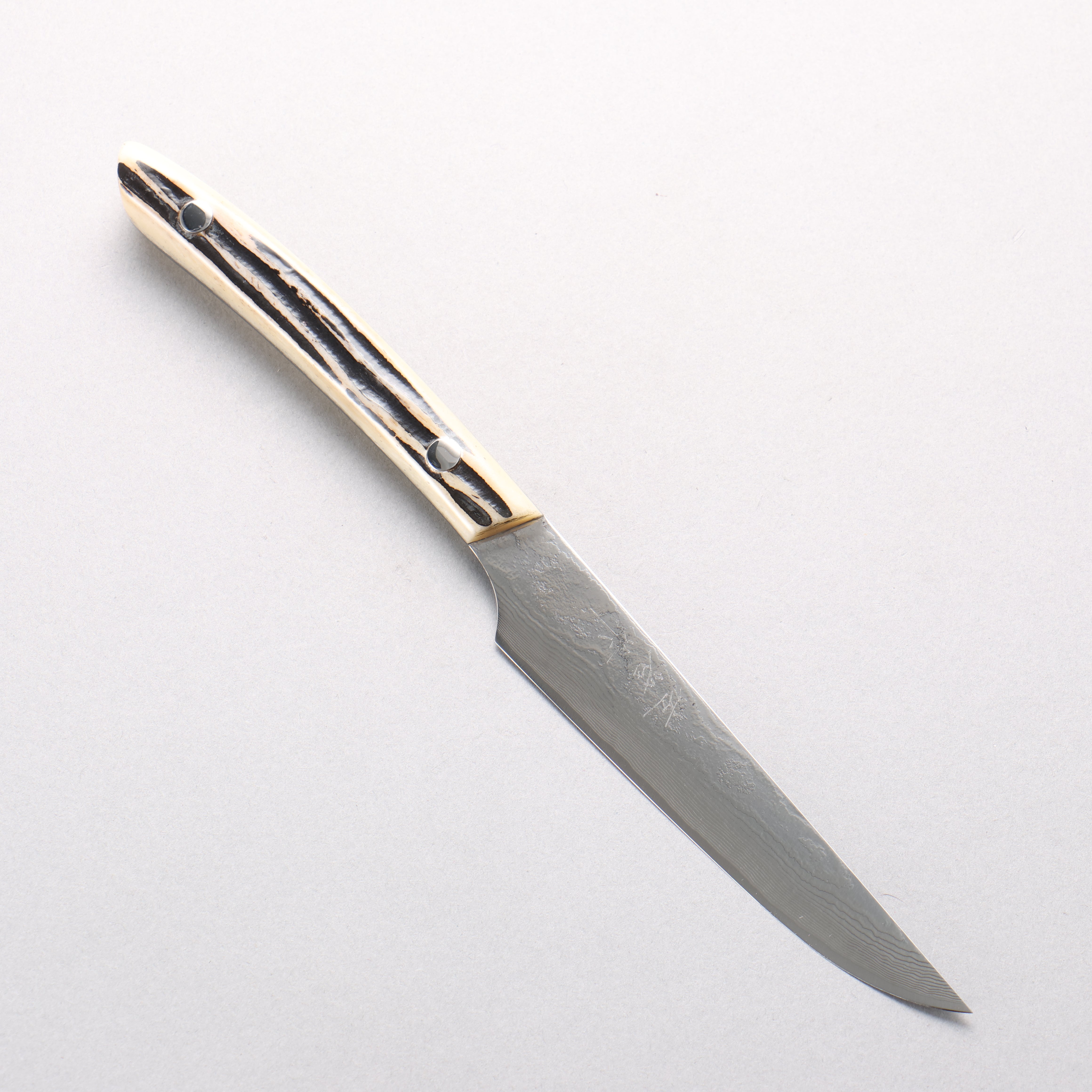 Takeshi Saji VG10 Damascus Migaki Finished Steak 125mm White Deer Horn Handle - Seisuke Knife