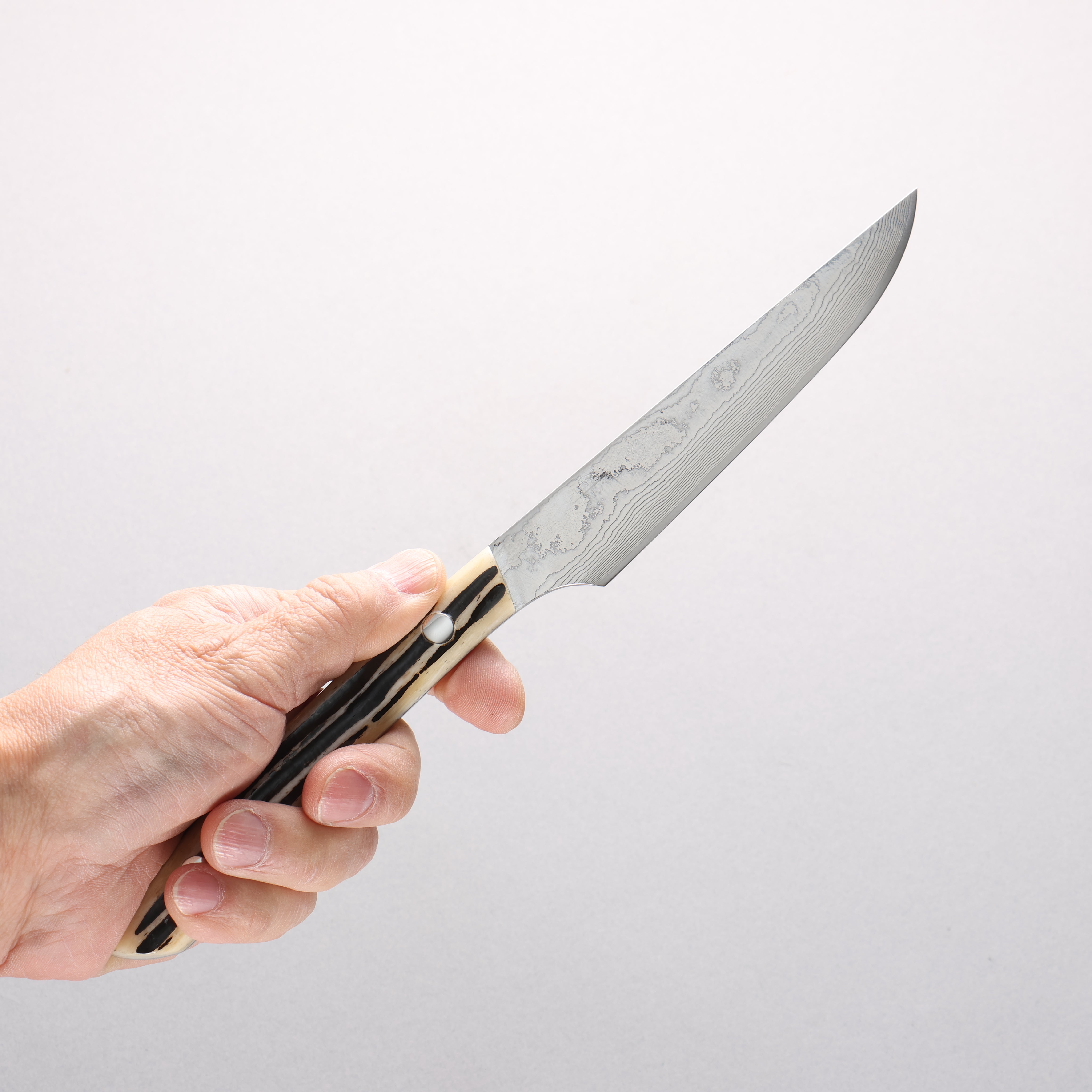 Takeshi Saji VG10 Damascus Migaki Finished Steak 125mm White Deer Horn Handle - Seisuke Knife