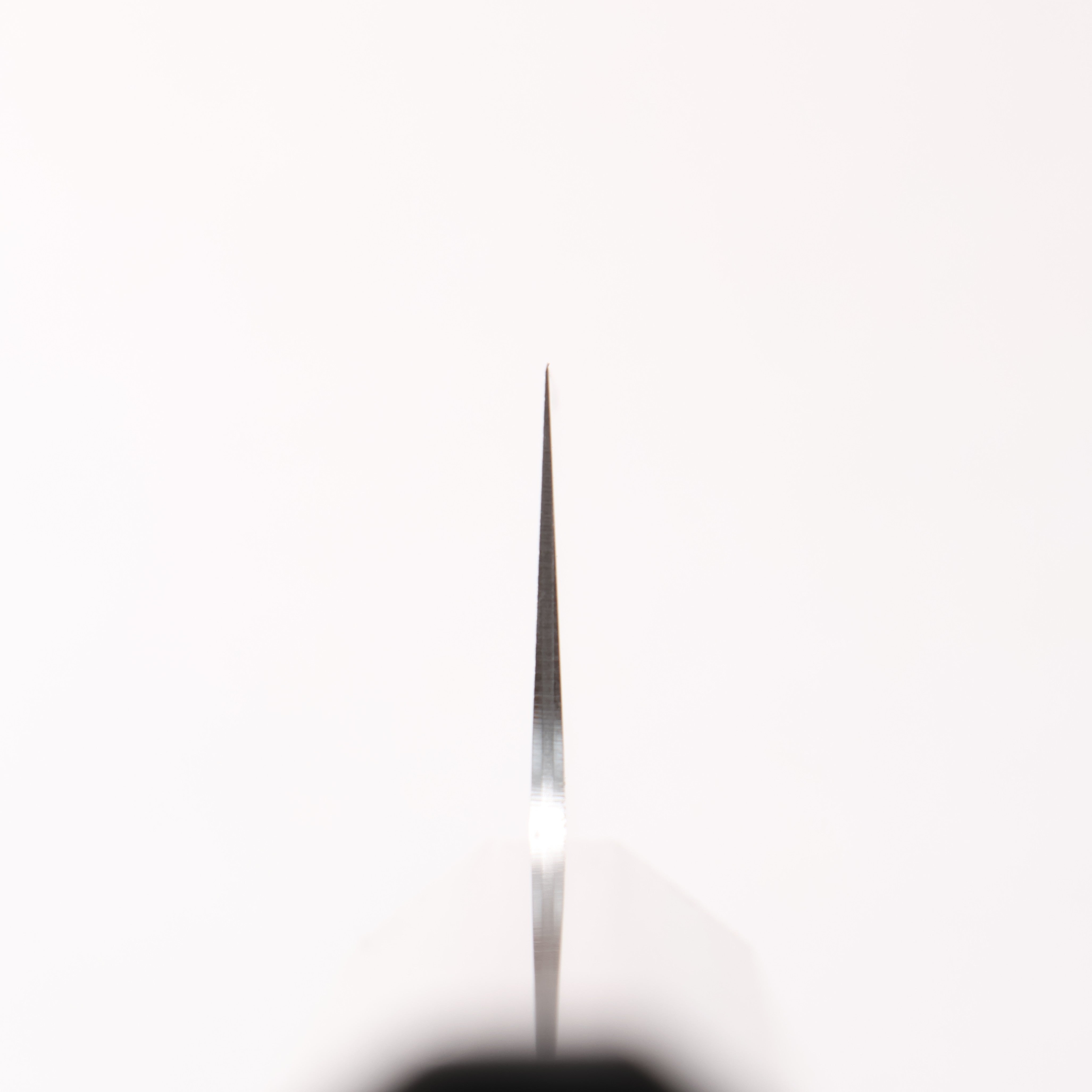 Kanetsune VG10 Gyuto 210mm Gray Pakkawood Handle - Seisuke Knife