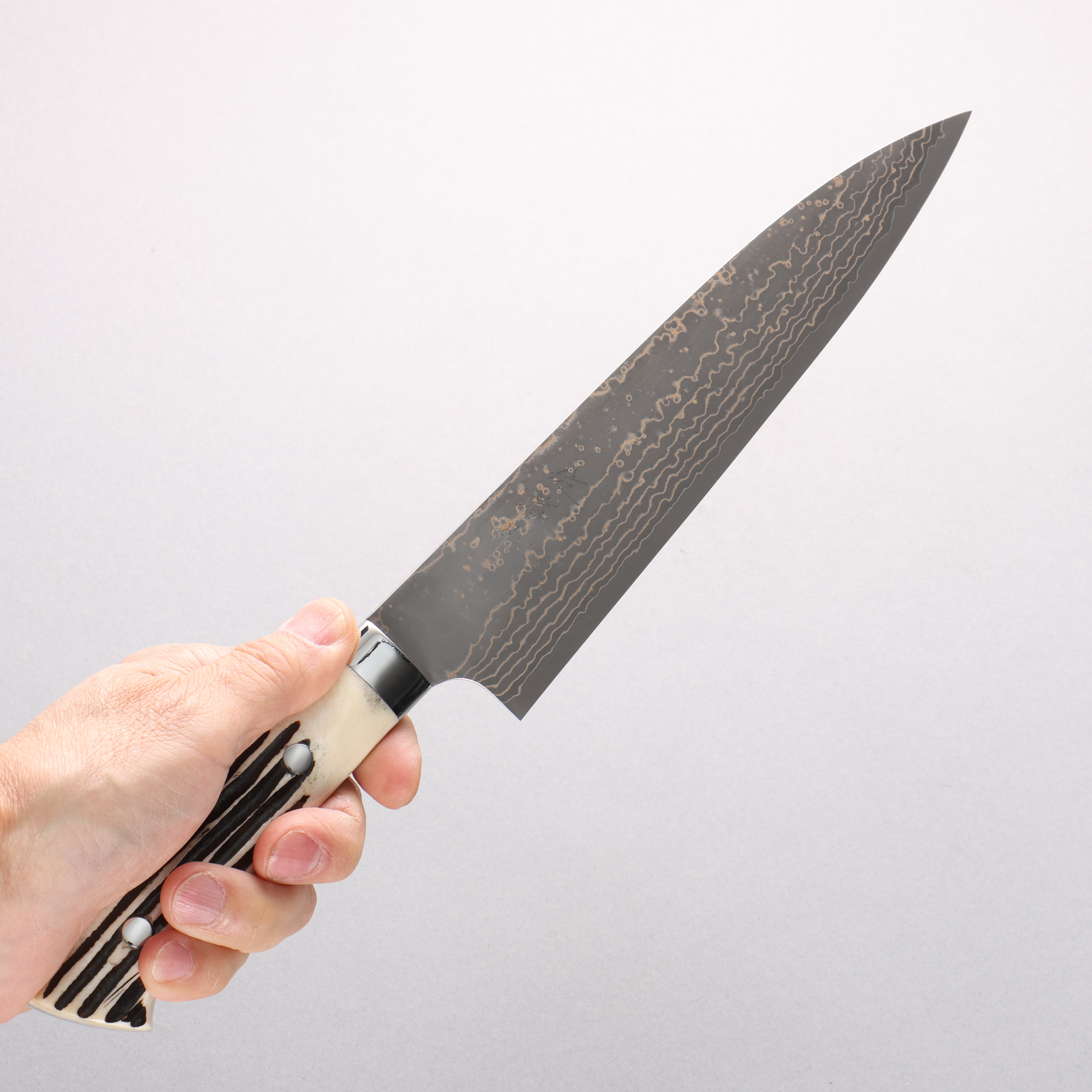 Takeshi Saji VG10w Damascus Gold Colored Gyuto 210mm White Deer Horn Handle - Seisuke Knife