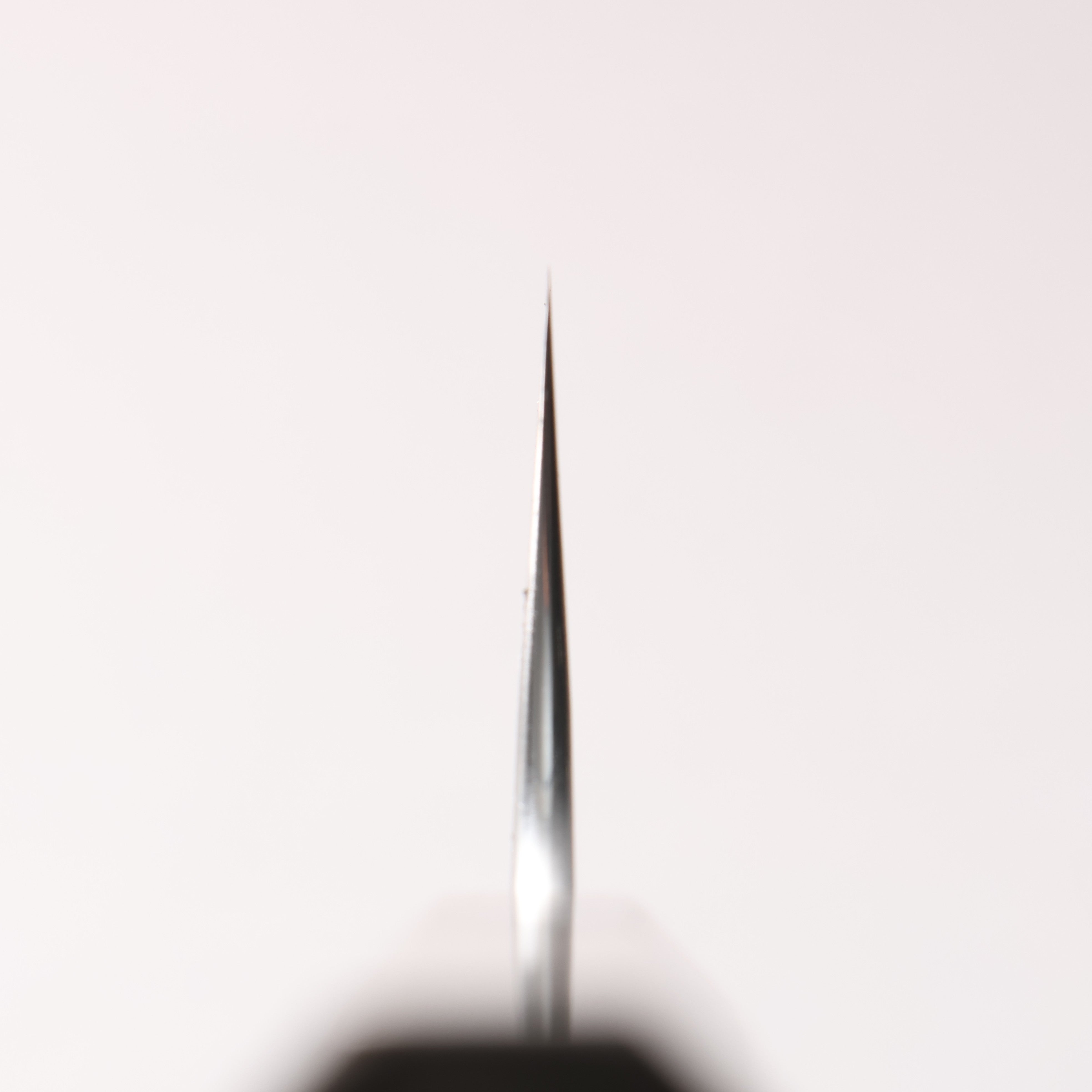 Yoshimi Kato SG2 Nashiji Kiritsuke Gyuto 210mm Stabilized Birch & Black Resin Handle - Seisuke Knife