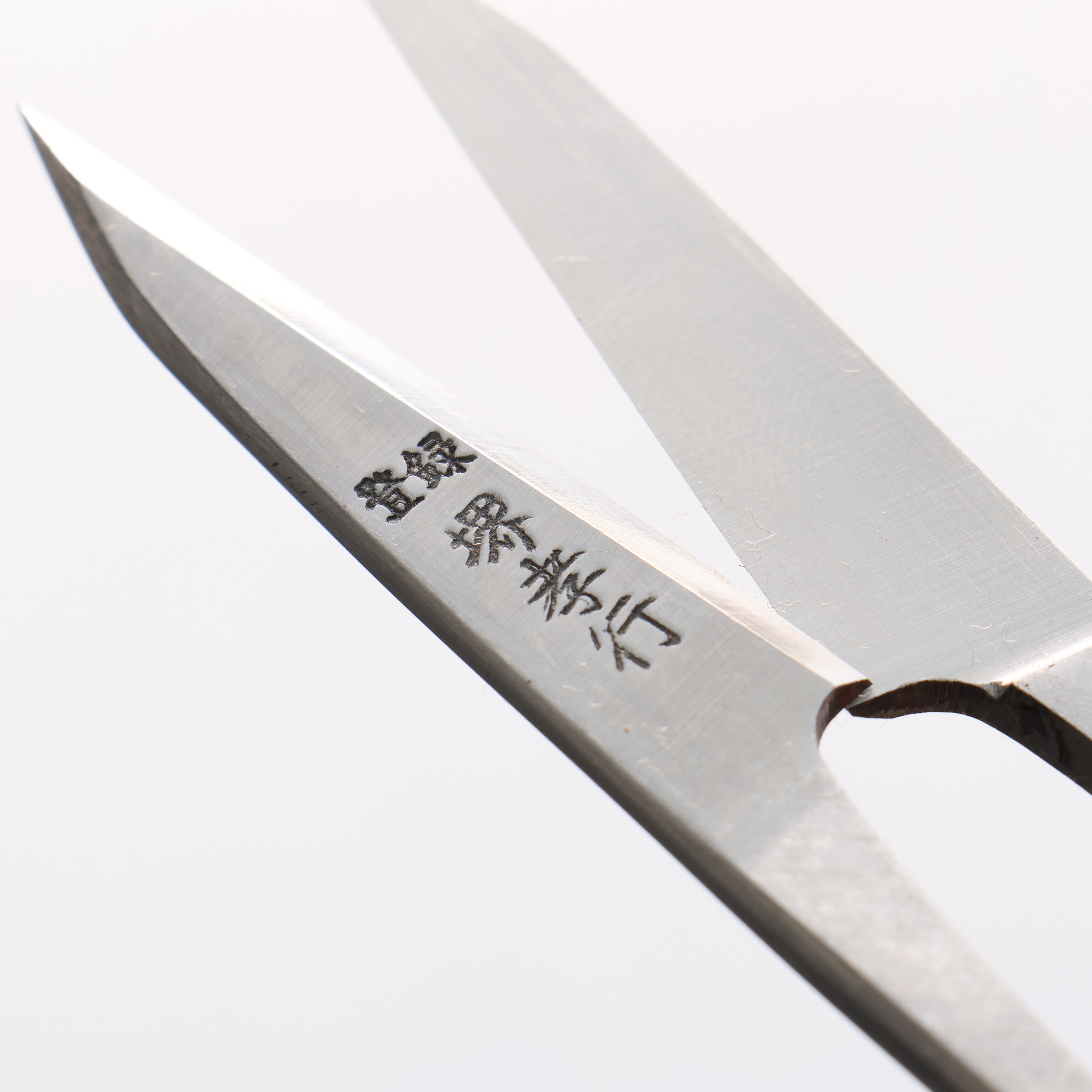 Sakai Takayuki Nigiri Scissors 120mm - Seisuke Knife