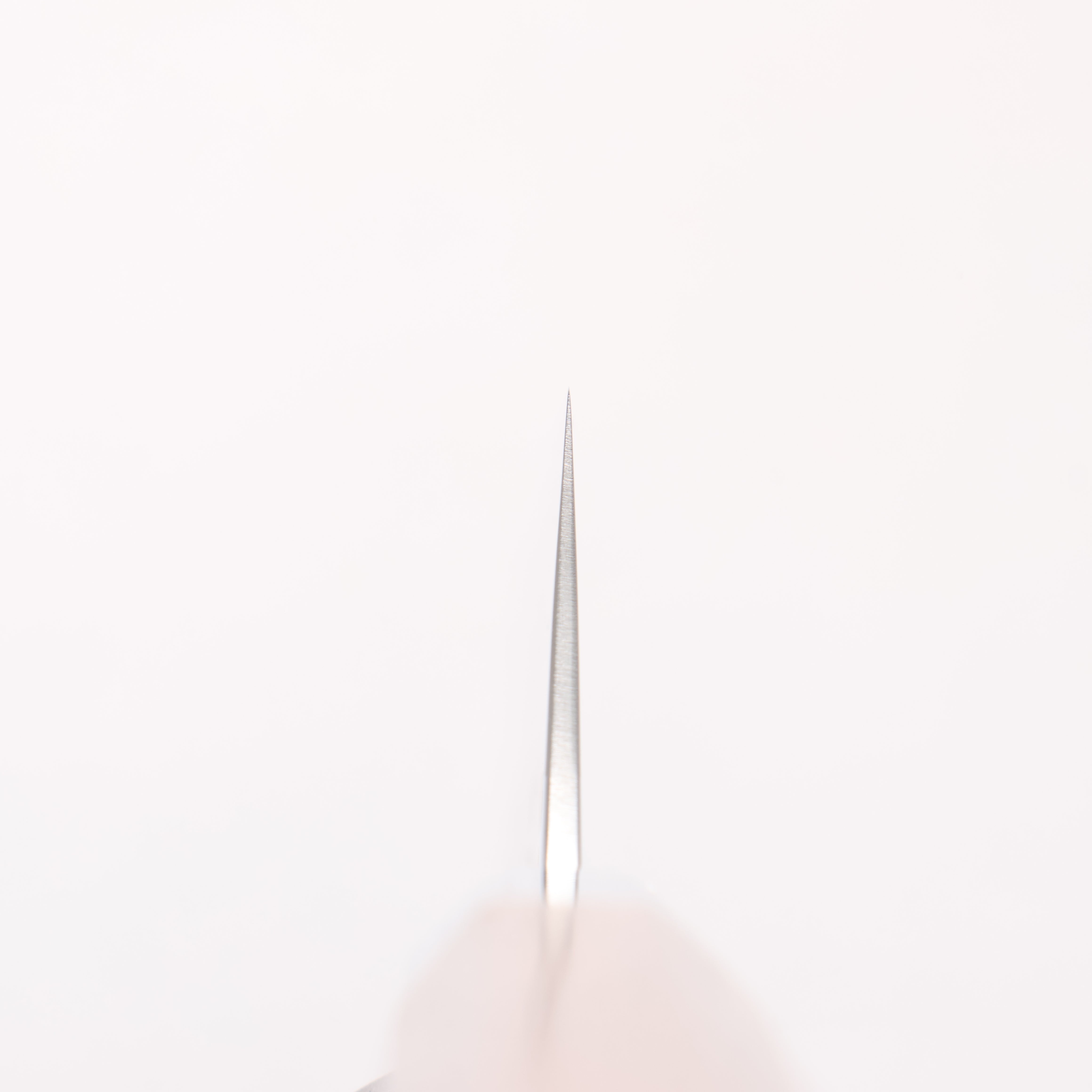 Kurotori Silver Steel No.3 Migaki Sakura Petty-Utility 150mm Walnut Handle - Seisuke Knife
