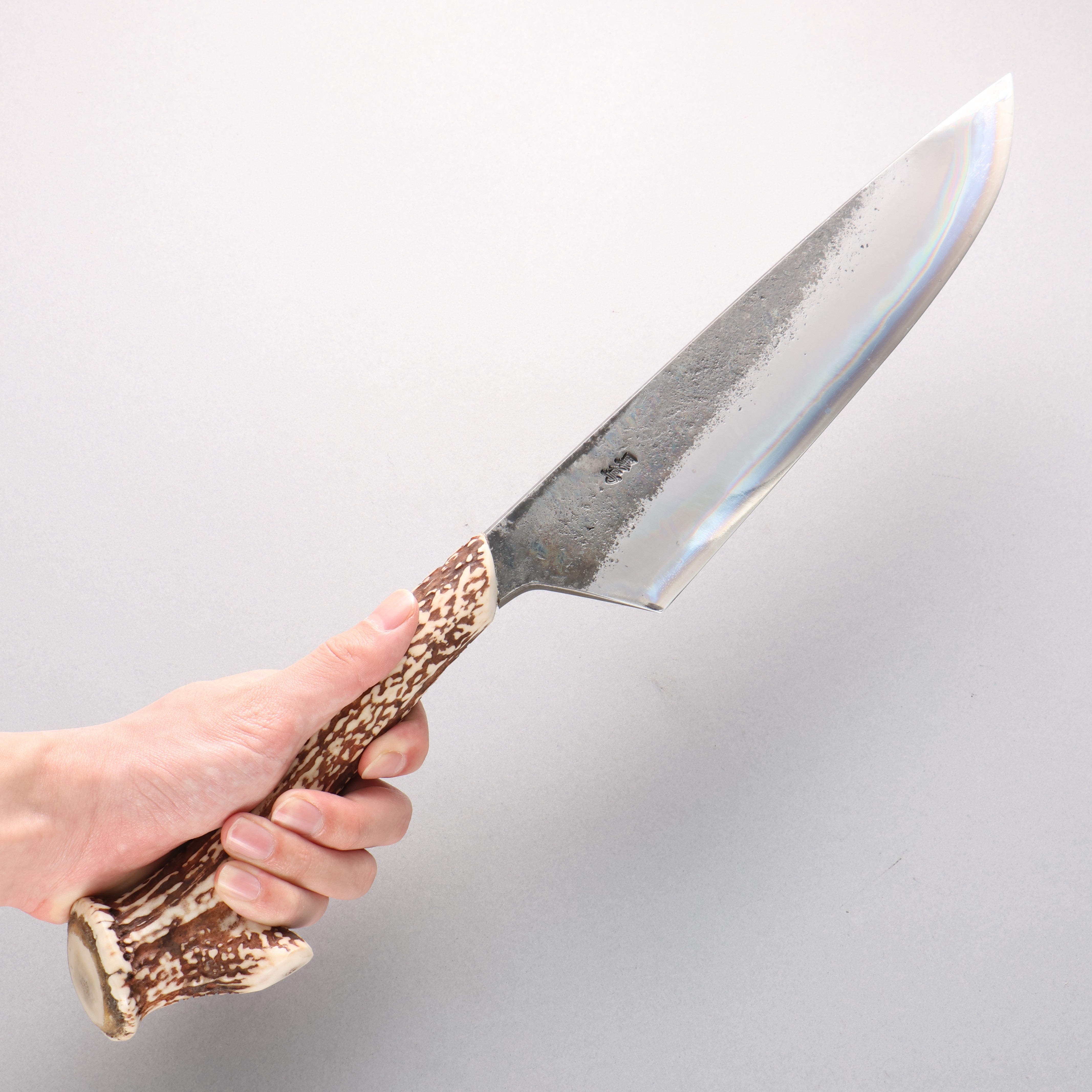 Kurotori Blue Steel No.2 Kurouchi Kitchen Knife 240mm White Deer Horn Handle - Seisuke Knife