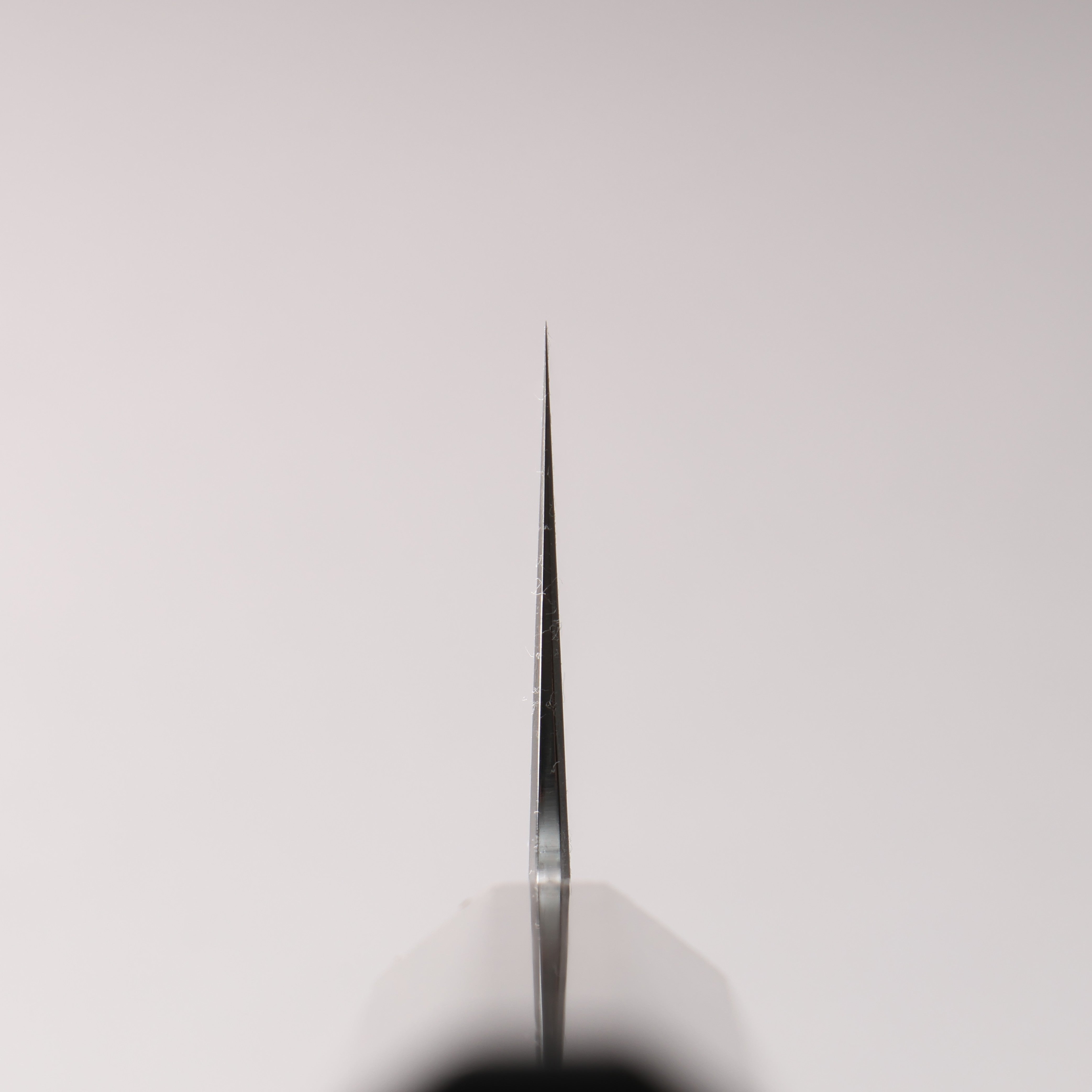 Naohito Myojin SG2 Kasumitogi Gyuto 240mm Striped Ebony (Narrow Ferrule: Black Stabilized Wood) Handle - Seisuke Knife