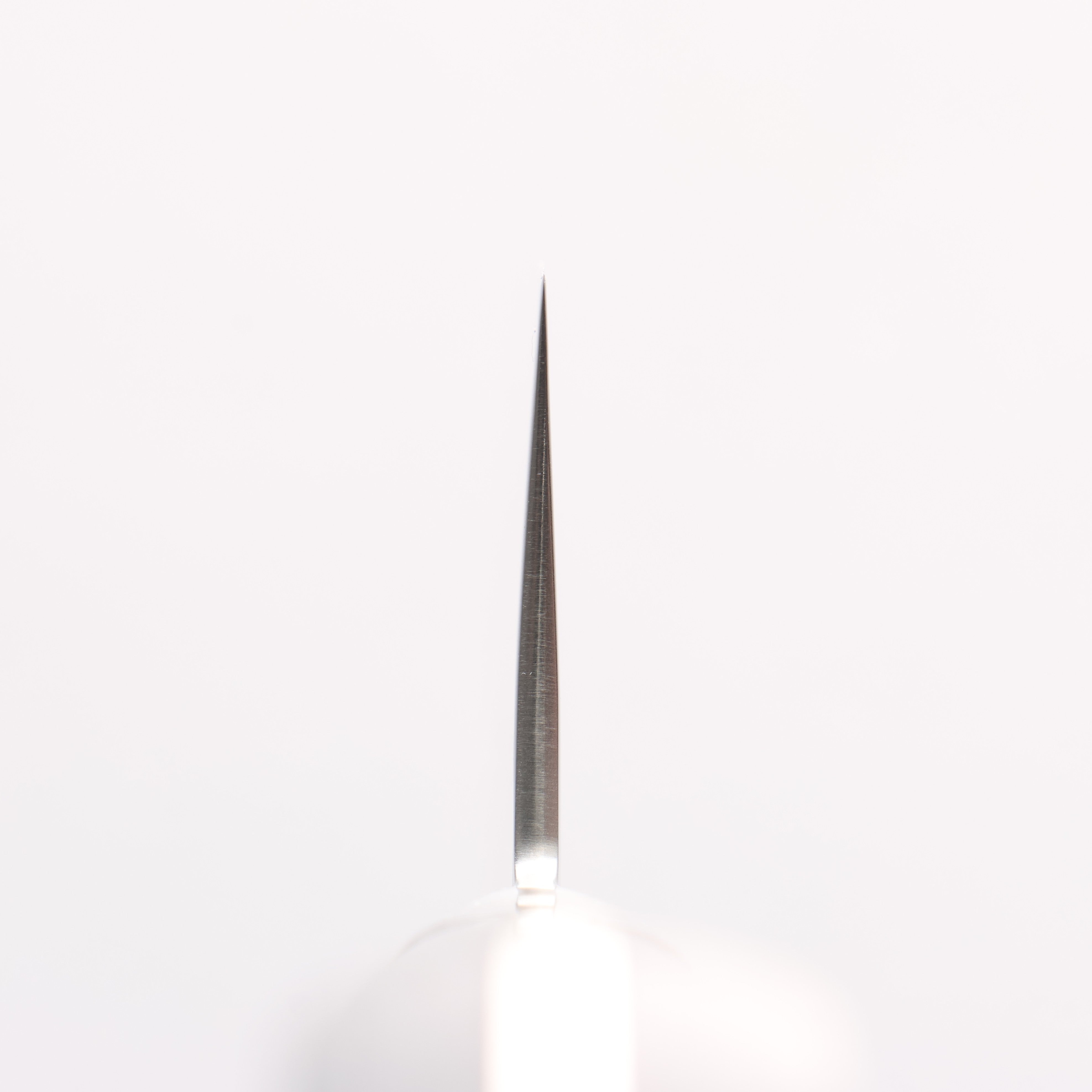 Seisuke VG5 Hammered Kasumitogi Nakiri 160mm Black Pakka wood Handle - Seisuke Knife
